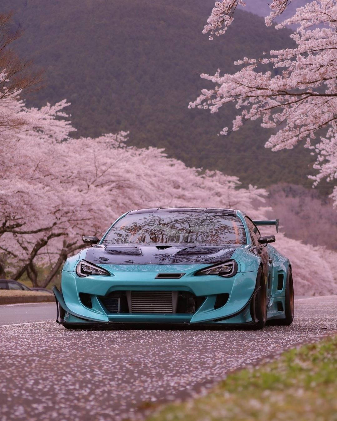 blue auto racing car, turquoise drift car, blooming pink cherry trees, HD Phone Wallpaper