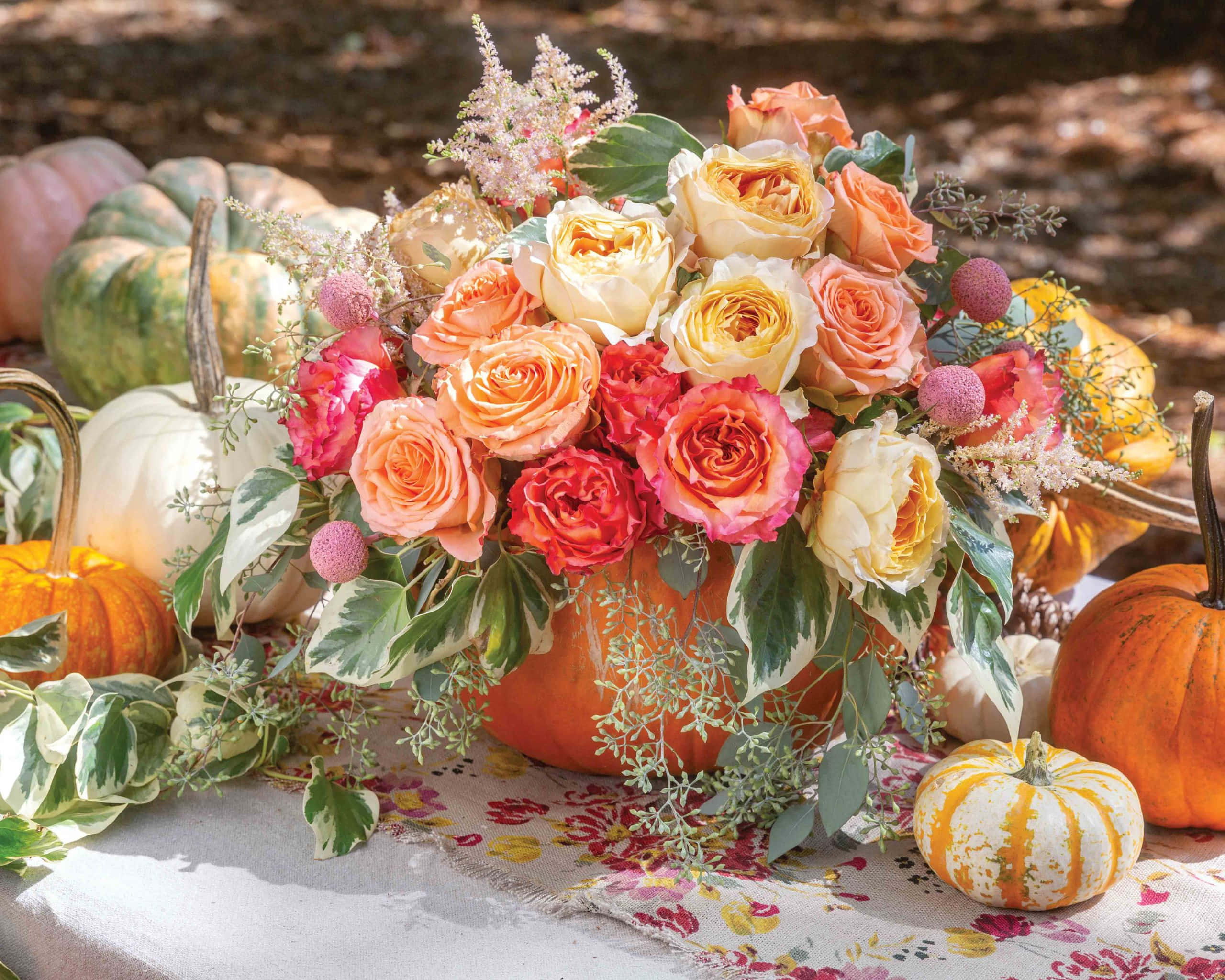 autumn bounty, pumpkin vase, assorted pumpkins, 2K Desktop Wallpaper