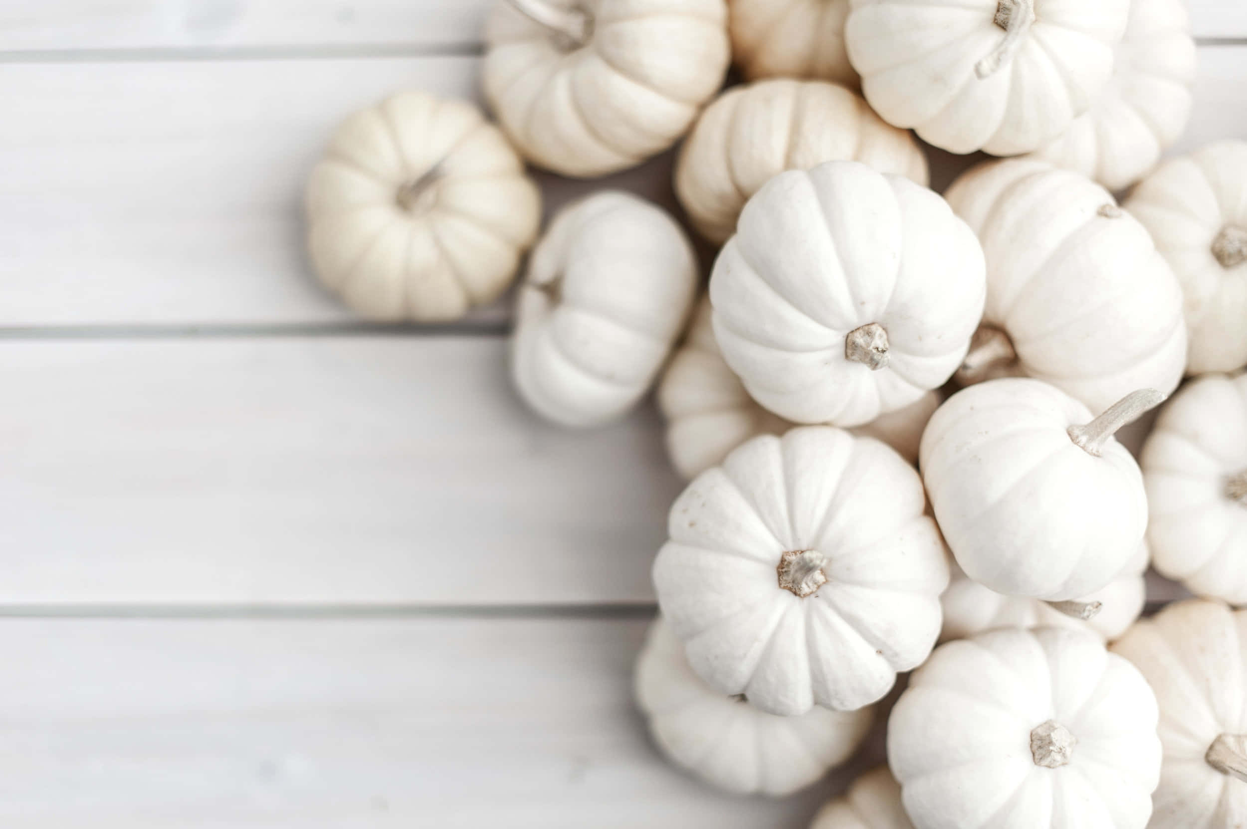 Autumn Bounty, pumpkins, apples, Full HD Desktop Wallpaper
