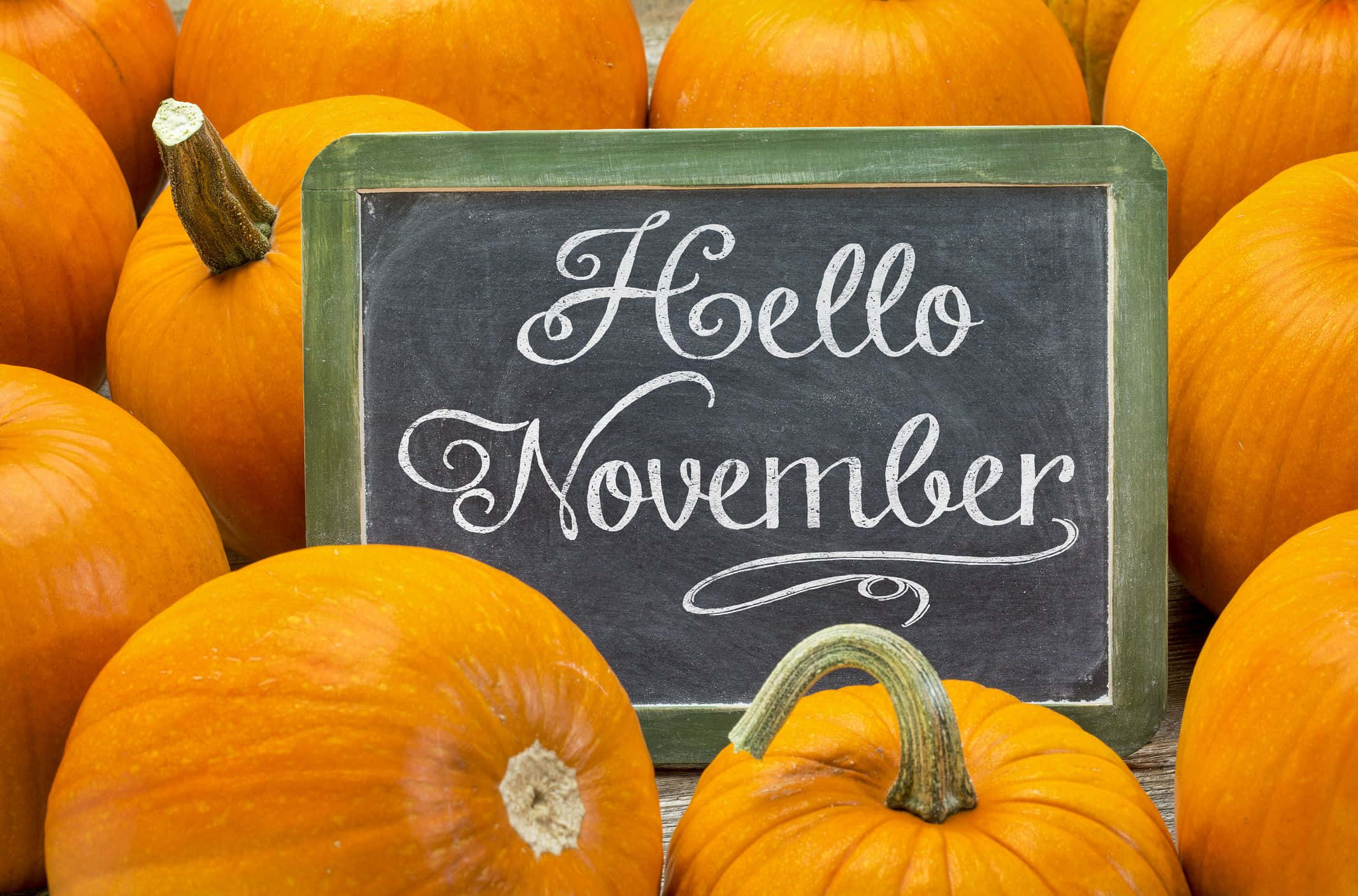 Autumn Bounty, Hello November, orange pumpkins, Full HD Desktop Wallpaper