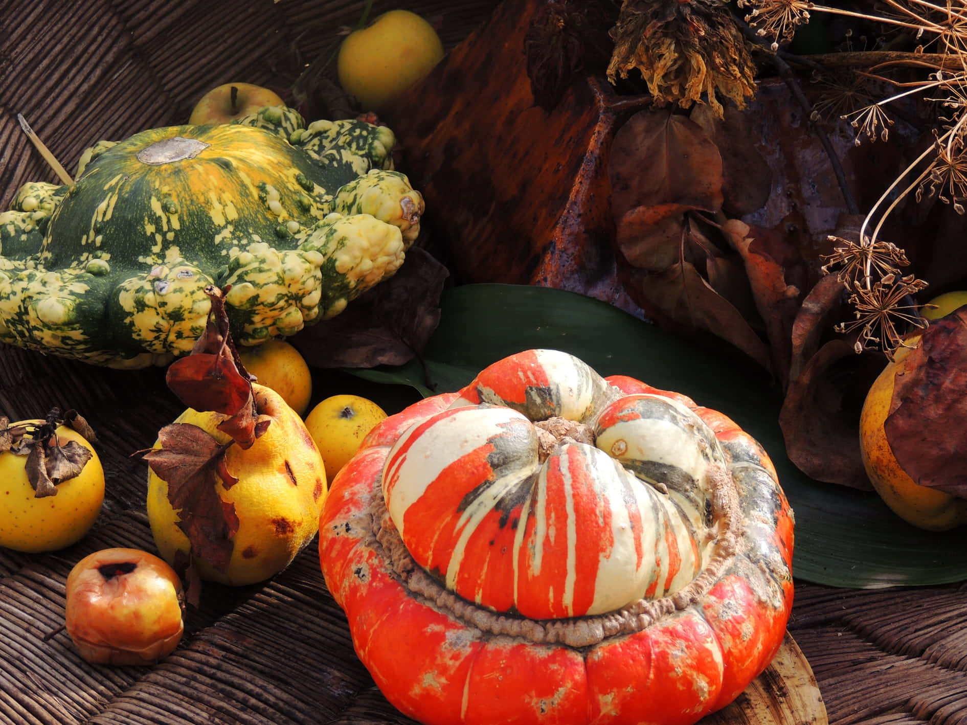 autumn bounty, striped orange pumpkin, green squash, HD Desktop Wallpaper
