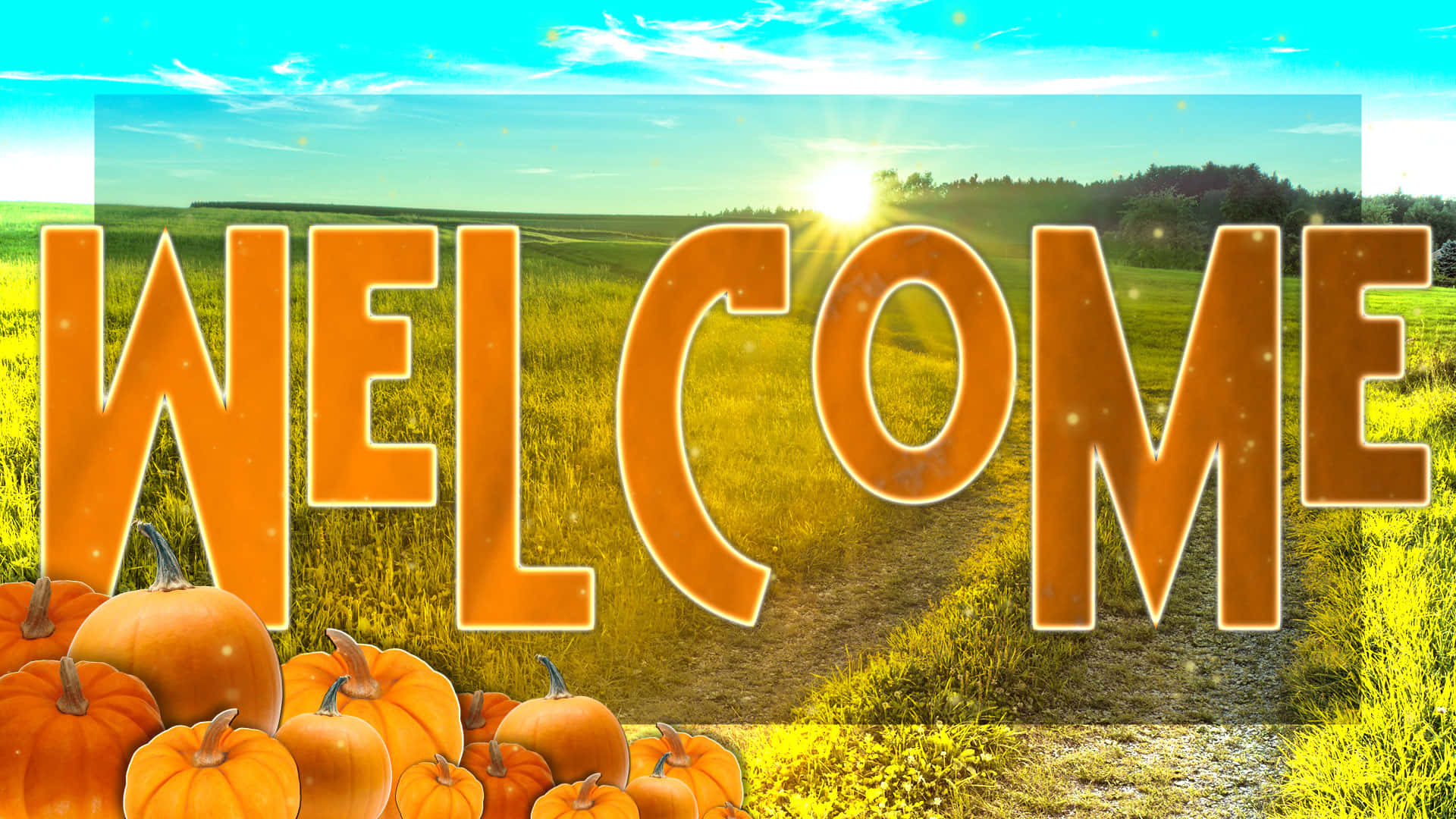 Autumn Bounty, orange welcome letters, sunlit autumn field, Full HD Desktop Wallpaper