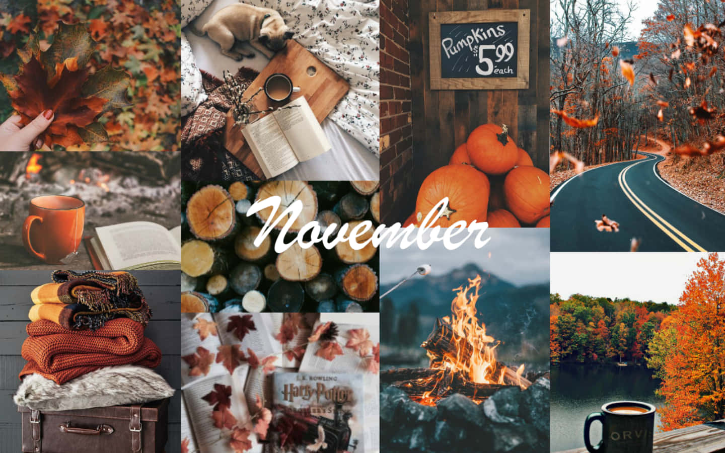 autumn, pumpkins, fire leaves, HD Desktop Wallpaper