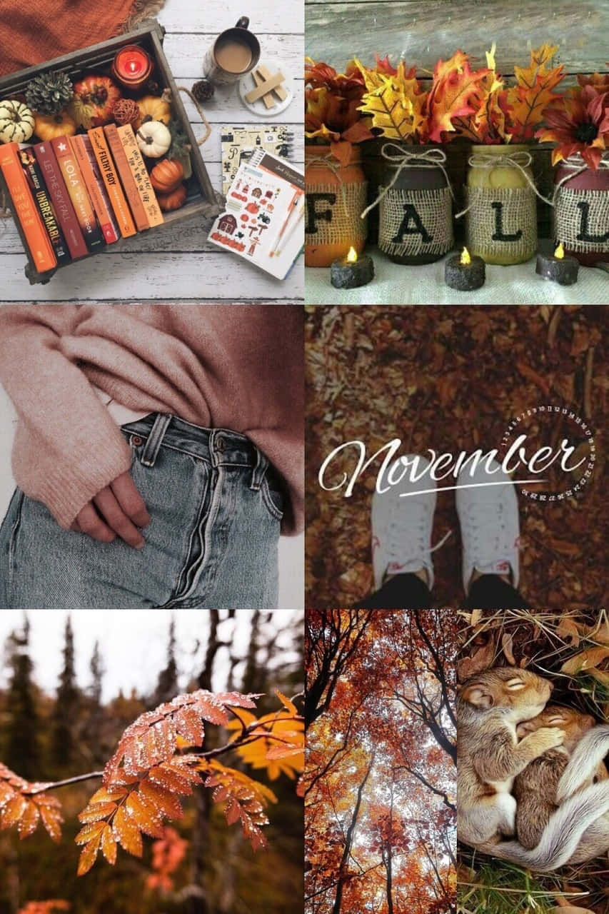 Autumn Collage, fall decor, books, HD Phone Wallpaper