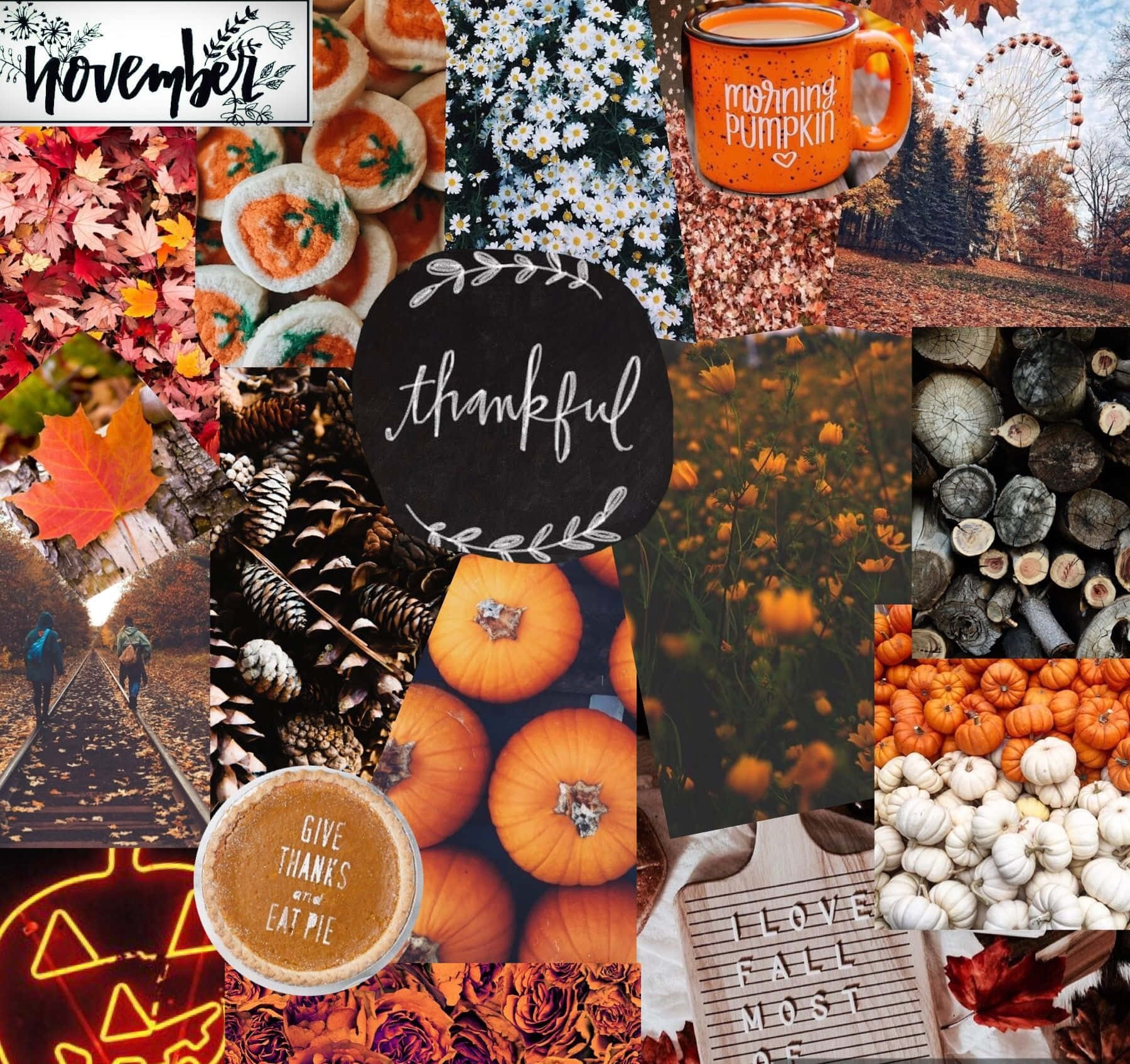 autumn collage, pumpkins, pinecones, HD Desktop Wallpaper