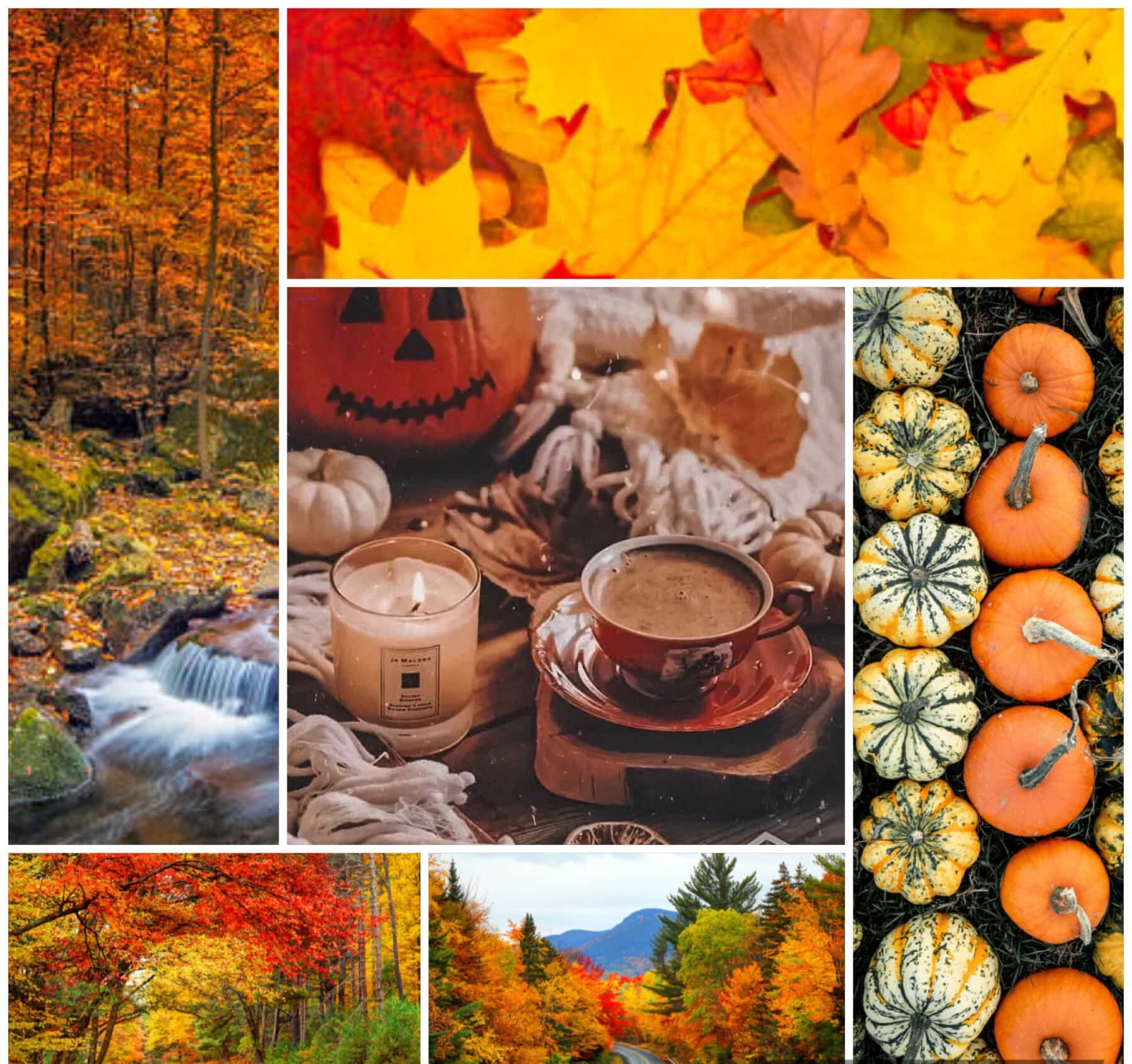 autumn collage, forest stream, pumpkin spice scene, HD Desktop Wallpaper