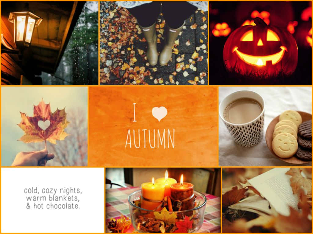 autumn collage, pumpkins, candles, SD Desktop Wallpaper