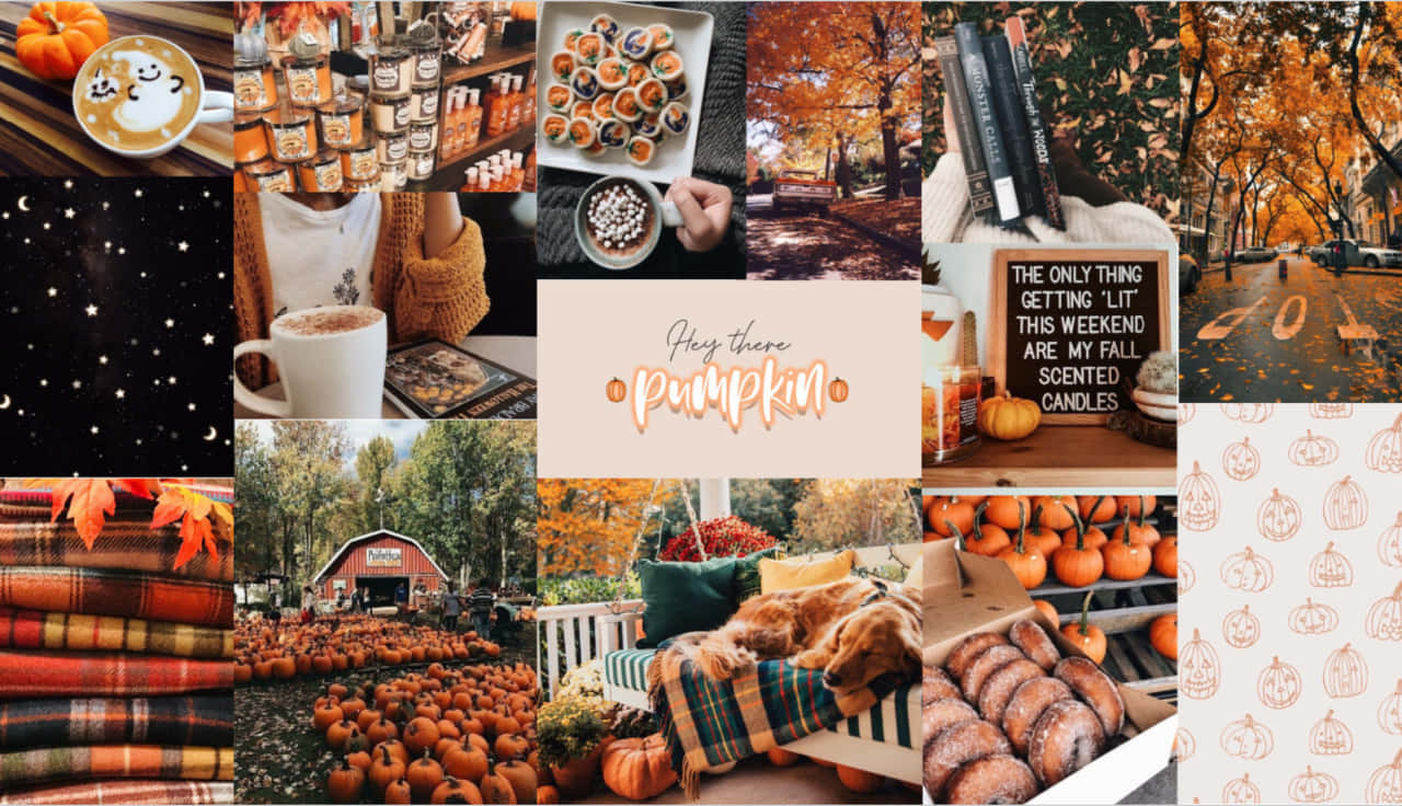 Autumn Collage, pumpkins, hot drinks, HD Desktop Wallpaper