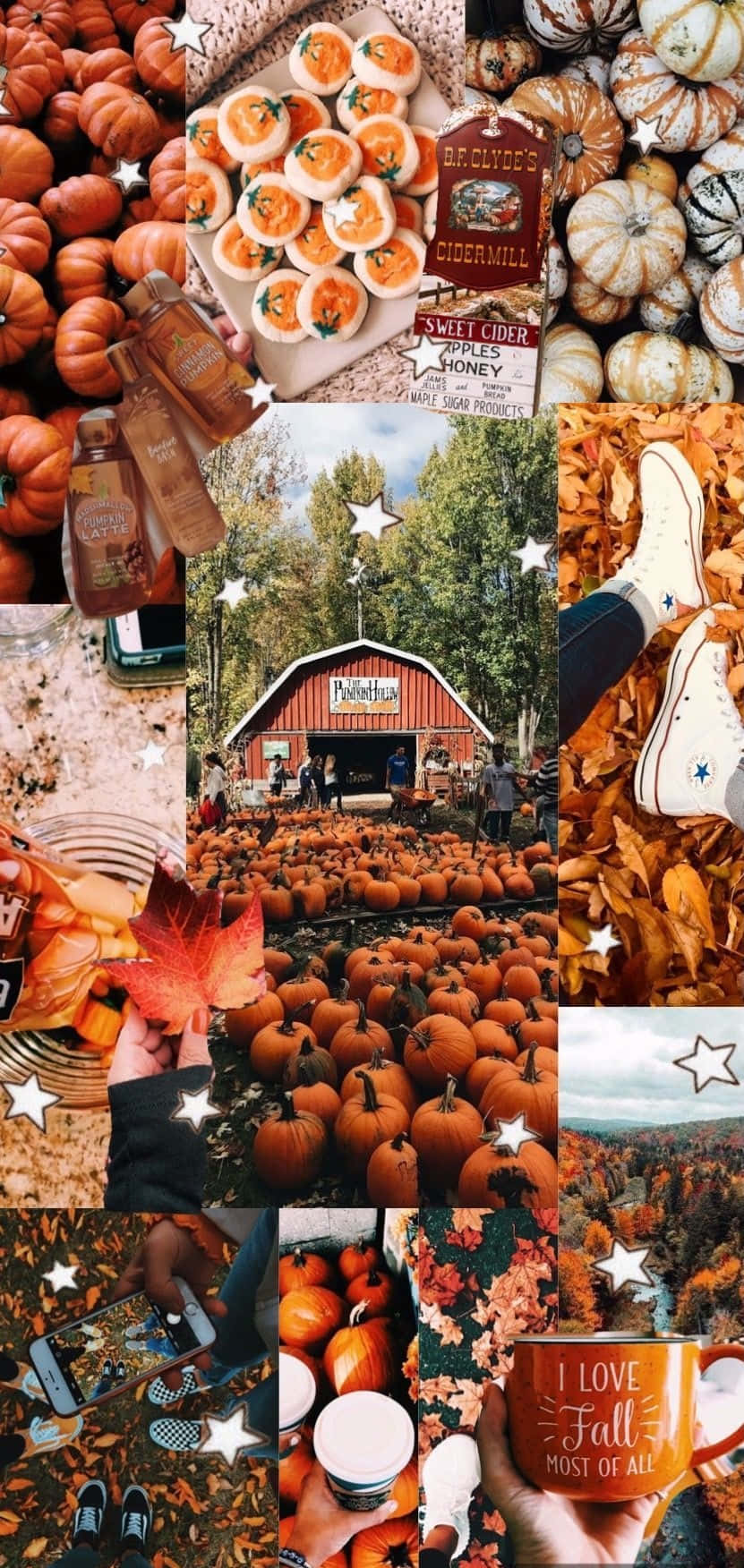 Autumn Collage, pumpkins, cider, HD Phone Wallpaper