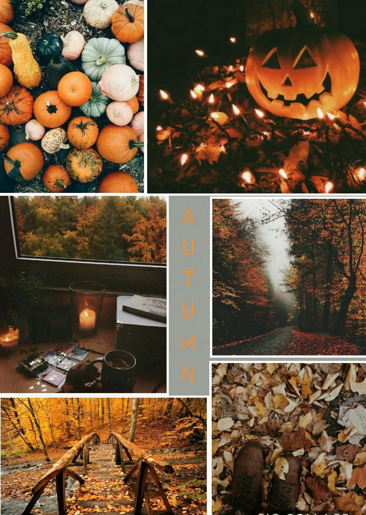 Autumn Collage, pumpkins, candles, HD Phone Wallpaper