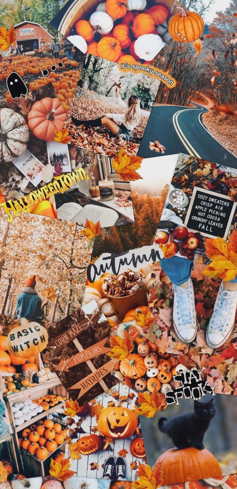 autumn collage, pumpkins, falling leaves, HD Phone Wallpaper