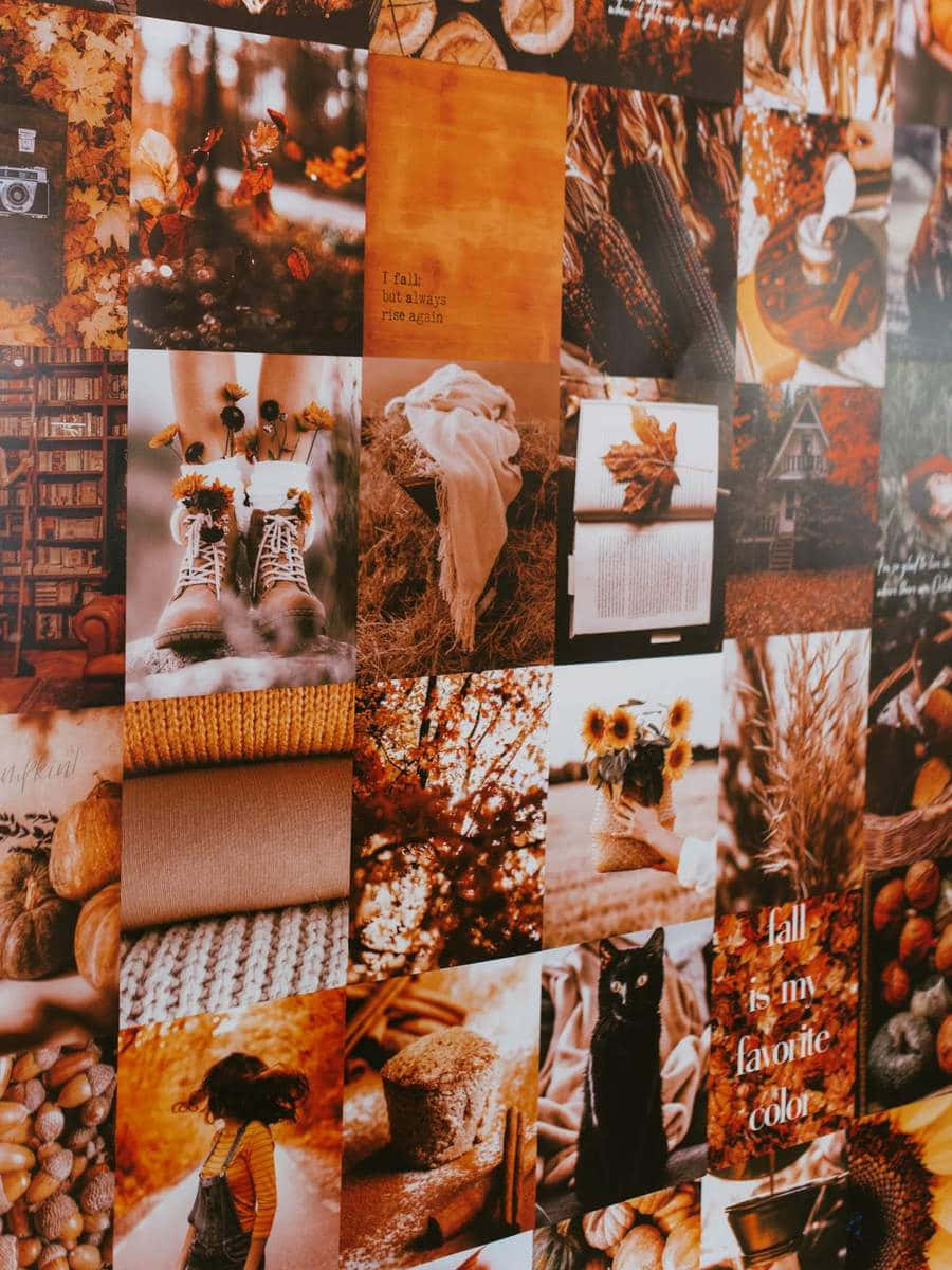 autumn collage, golden amber tones, boots, SD Phone Wallpaper