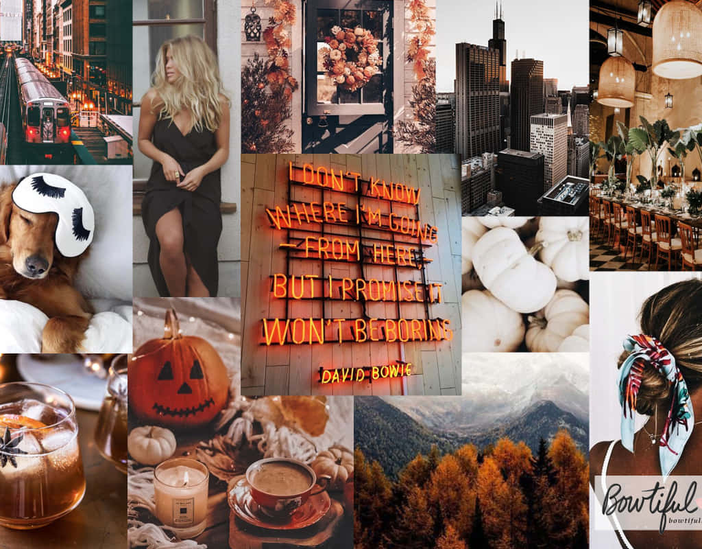 Autumn Collage, cityscapes, cozy drinks, SD Desktop Wallpaper