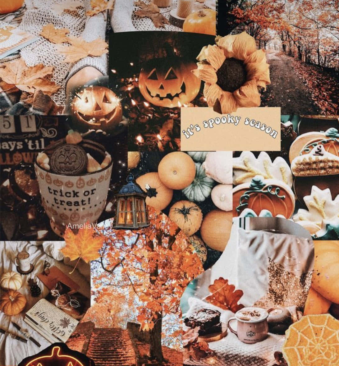 autumn collage, pumpkins, jack-o-lanterns, SD Phone Wallpaper