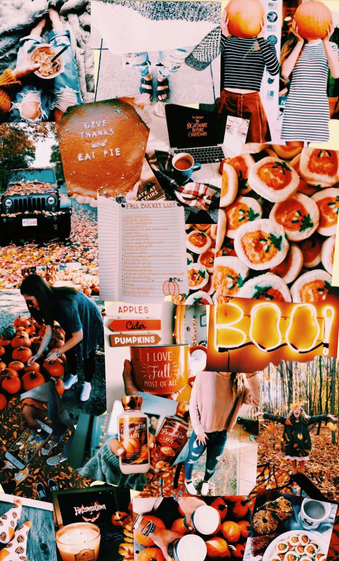 Autumn Collage, pumpkins, fall foliage, HD Phone Wallpaper