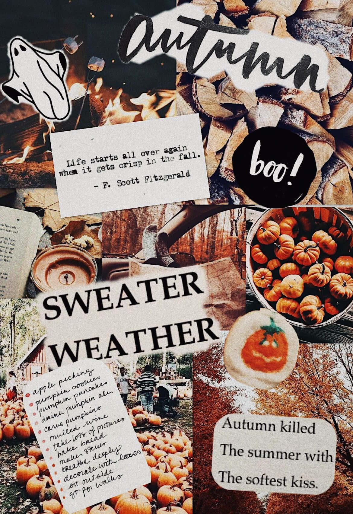 autumn collage, pumpkins, firewood, HD Phone Wallpaper