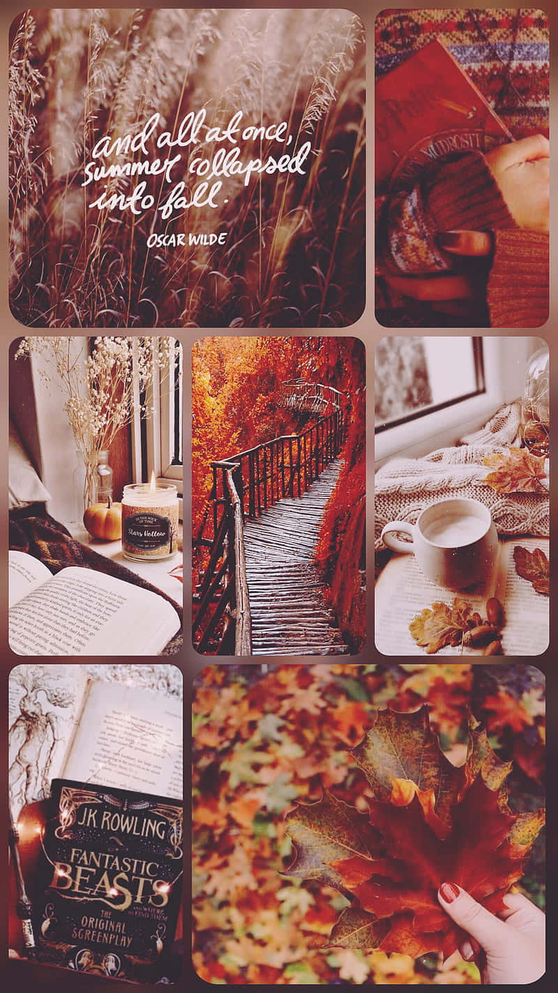 cozy fall moments collage, autumn collage, fall leaves, HD Phone Wallpaper