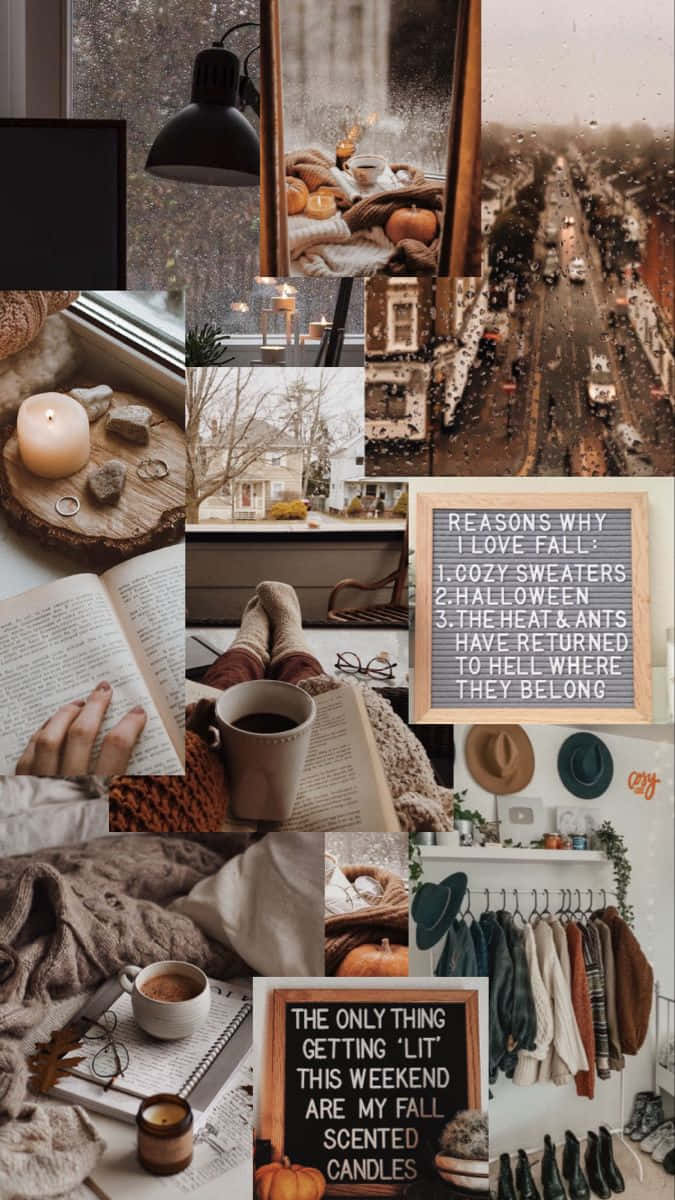 cozy autumn collage, coffee, books, SD Phone Wallpaper