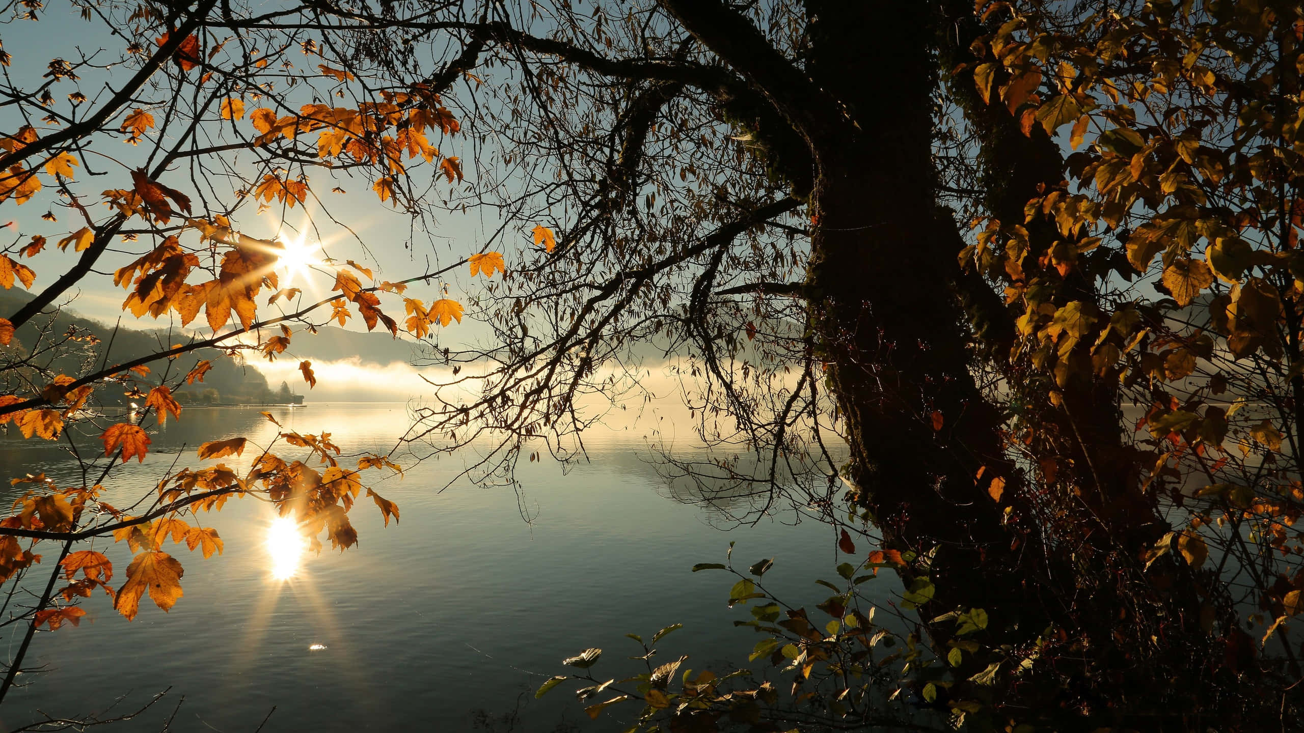 autumn, golden autumn leaves, sunlit lake, 2K Desktop Wallpaper