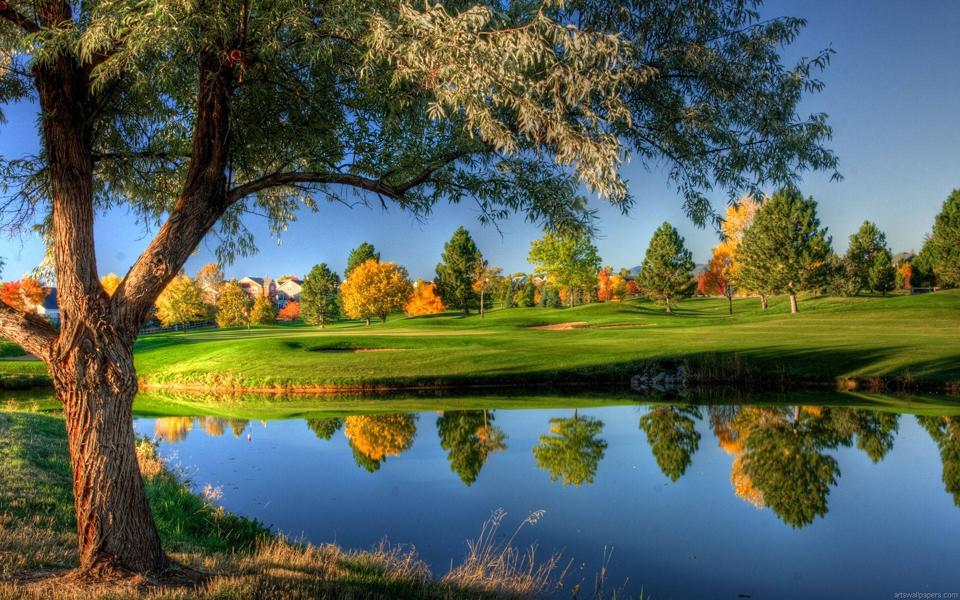 autumn golf course, large tree, calm pond, Full HD Desktop Wallpaper