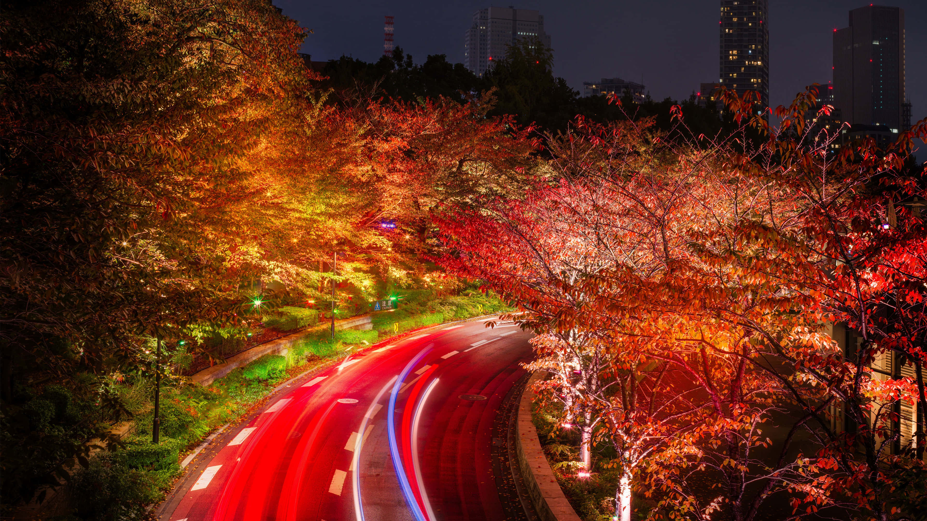 3840 x 2160, autumn, winding road, 4K Desktop Wallpaper