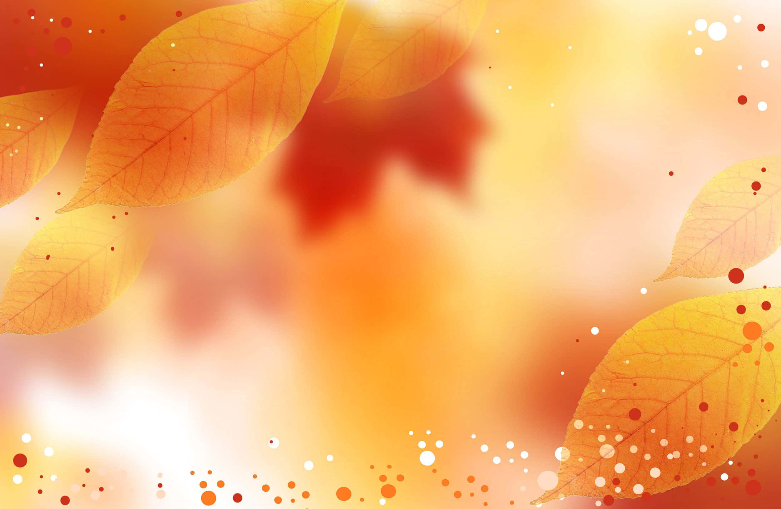 Autumn Colors, golden autumn leaves, warm glowing background, Full HD Desktop Wallpaper