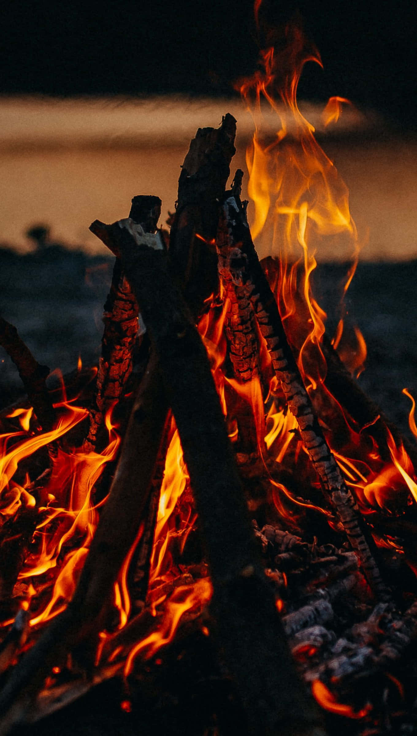 fall bonfire, crackling campfire, vibrant orange flames, Full HD Phone Wallpaper