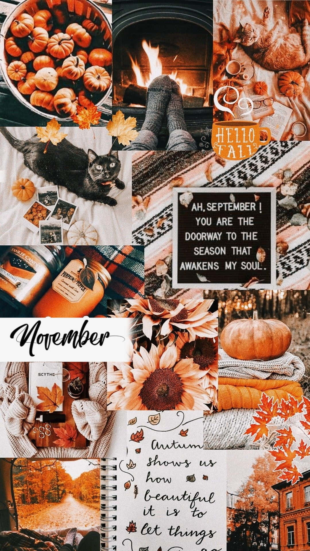 autumn fireplace, pumpkins, fire, Full HD Phone Wallpaper