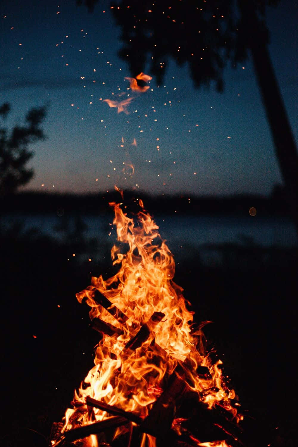fall bonfire, dusk, roaring campfire, HD Phone Wallpaper