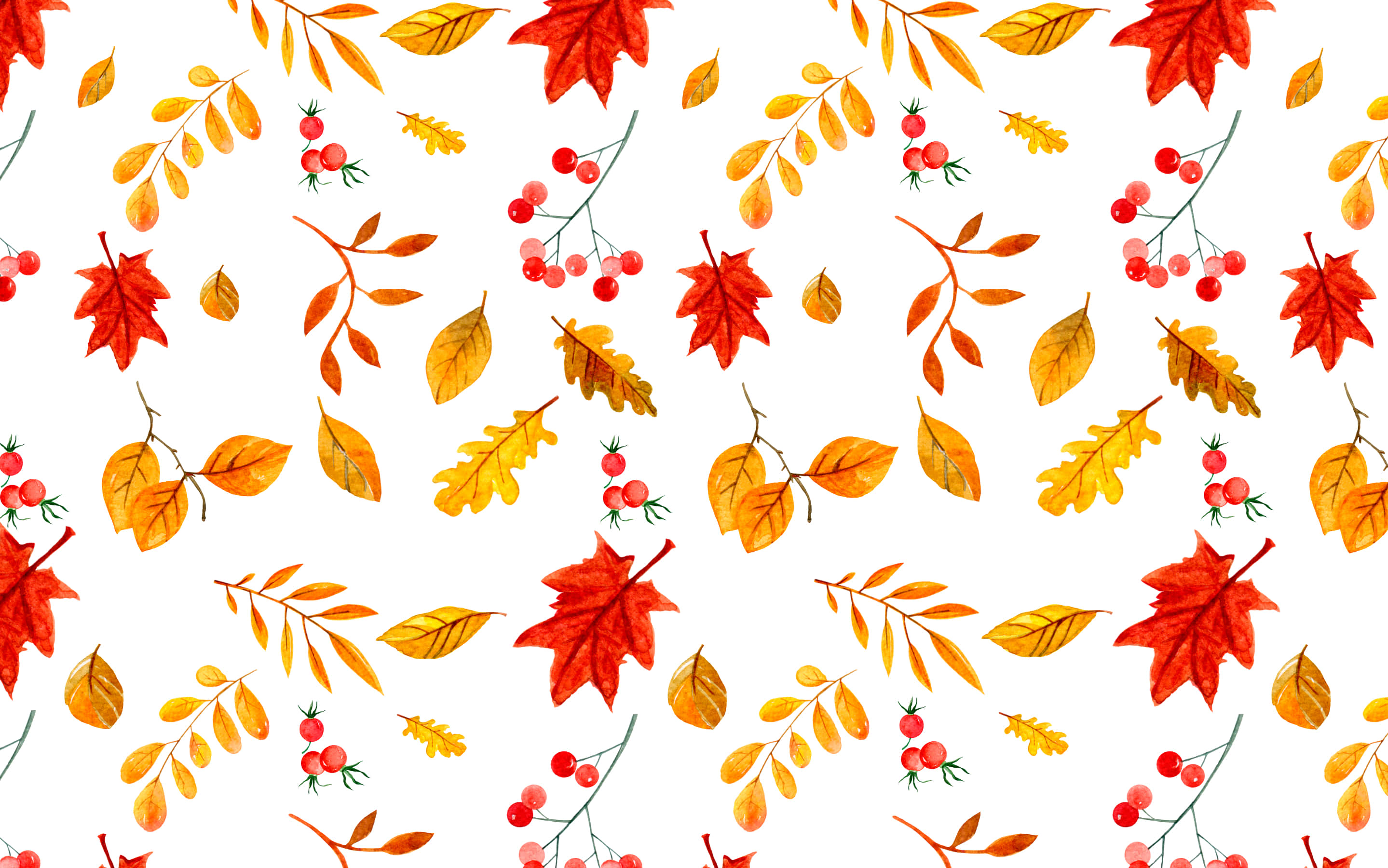 autumn leaves, red berries, white background, 2K Desktop Wallpaper