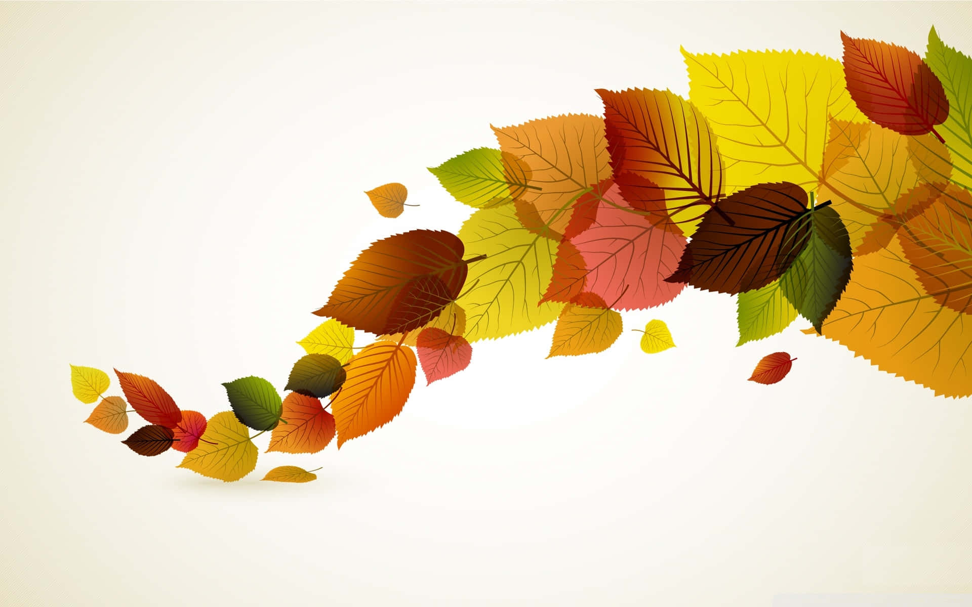 autumn foliage, autumn leaves, warm hues, Full HD Desktop Wallpaper