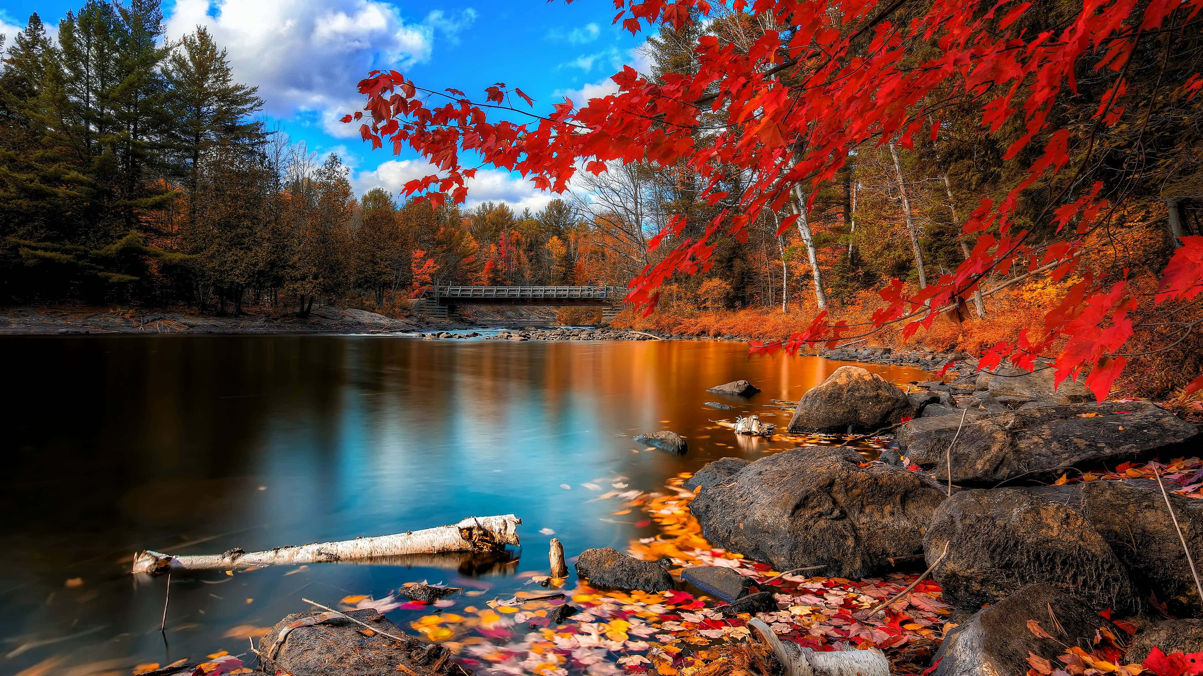 autumn lake view, red maple leaves, serene autumn lake, 4K Desktop Wallpaper