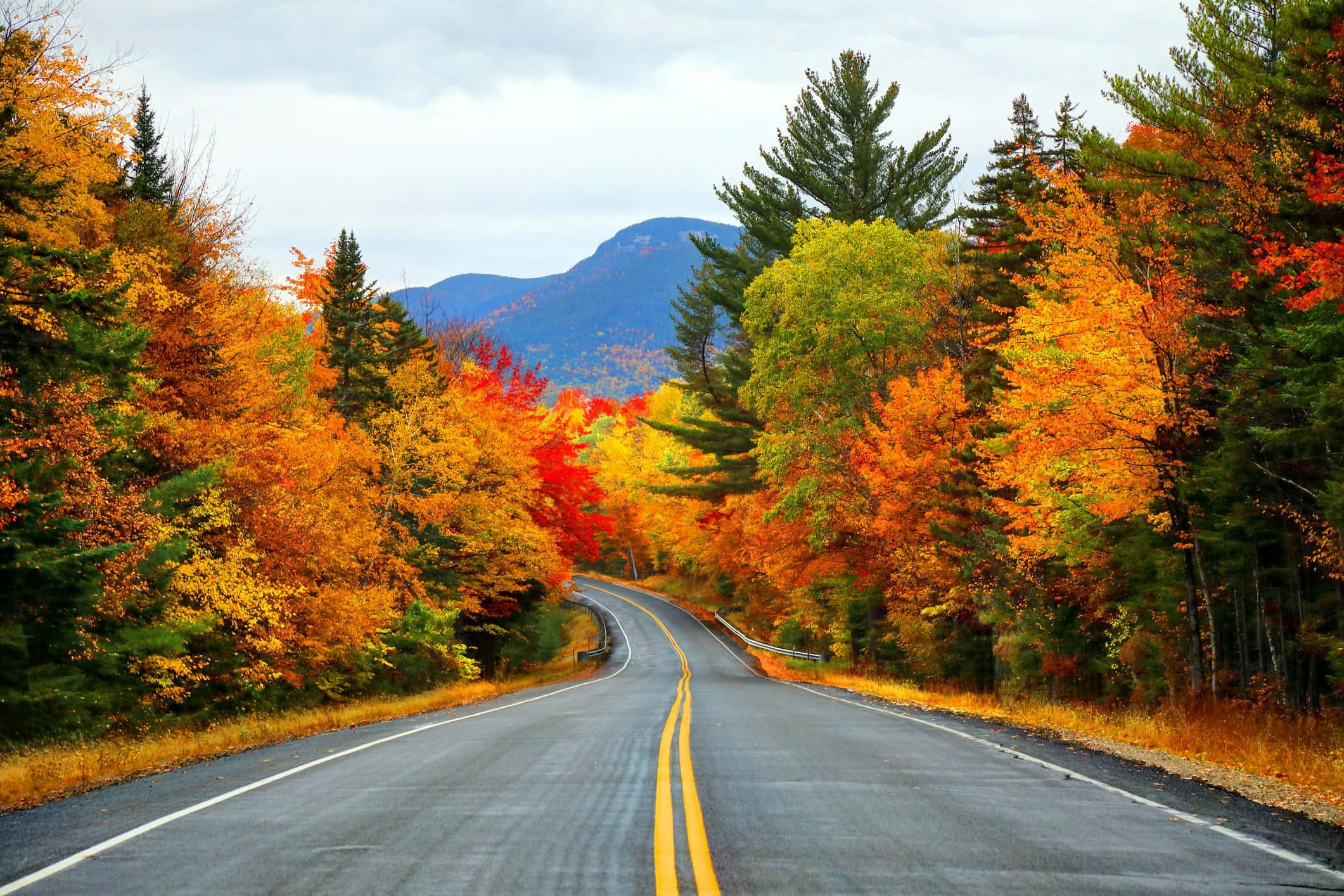 Autumn Foliage, winding road, vibrant autumn forest, Full HD Desktop Wallpaper