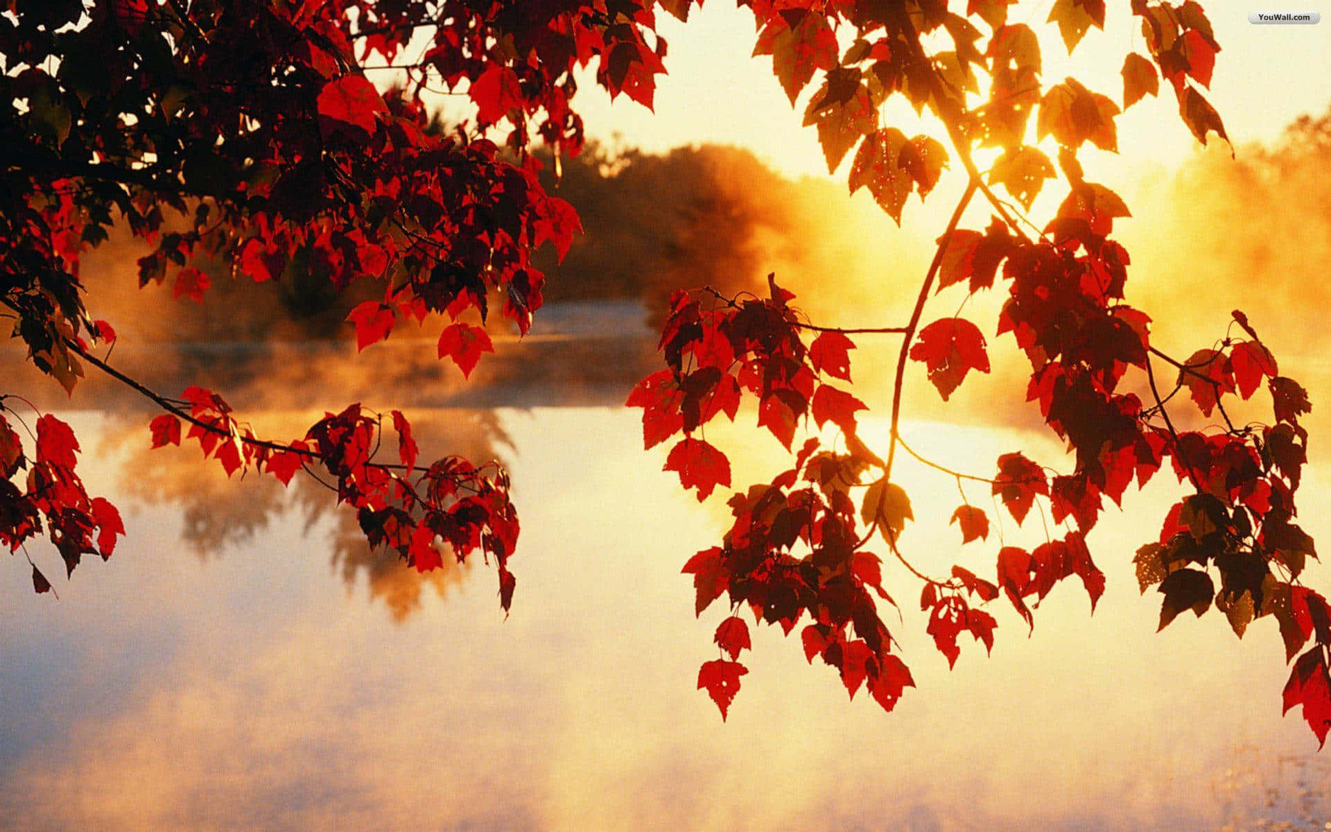 Autumn Foliage, peaceful lake, vibrant red autumn leaves, Full HD Desktop Wallpaper