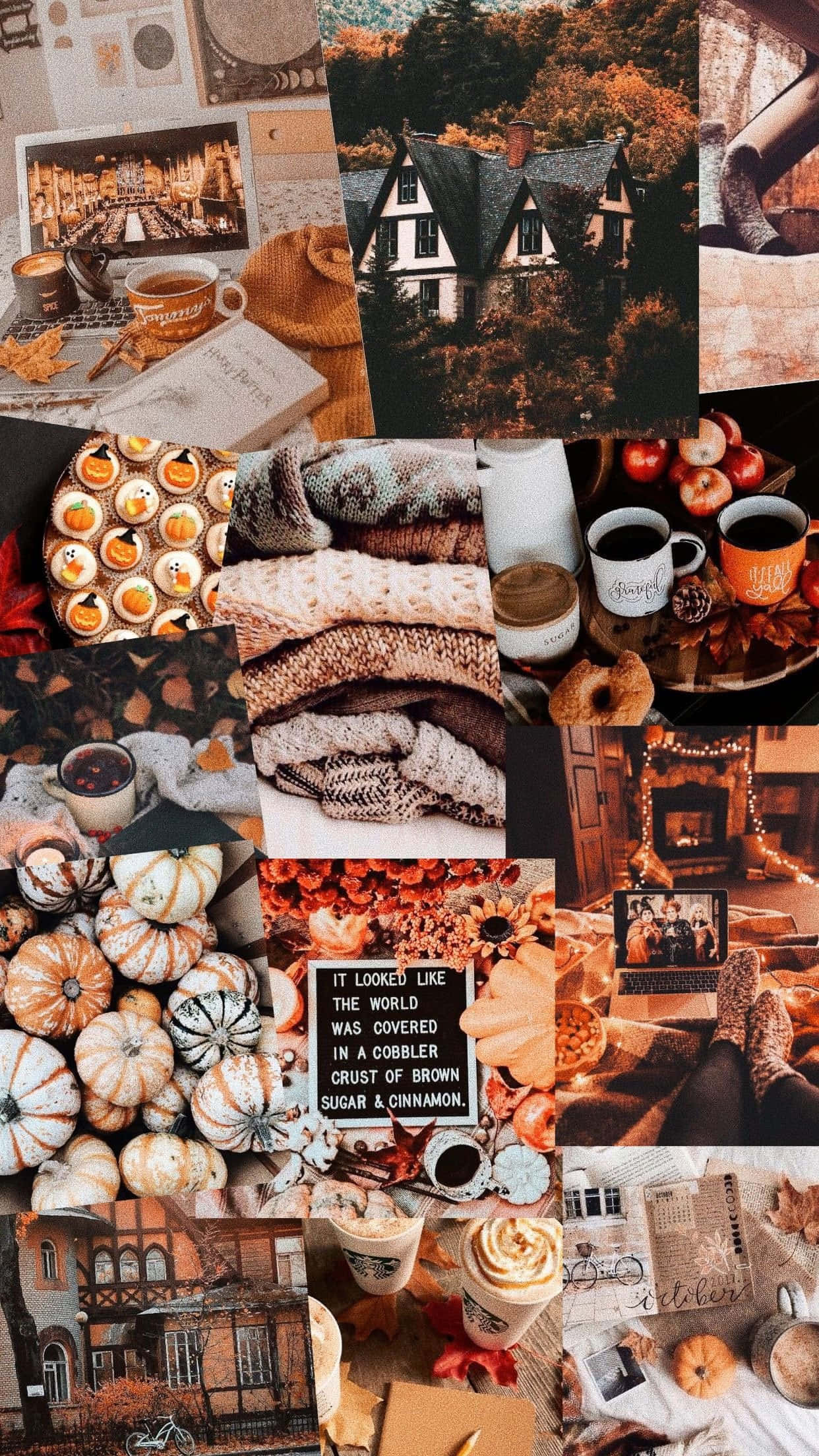 cute autumn, pumpkins, knit sweaters, Full HD Phone Wallpaper