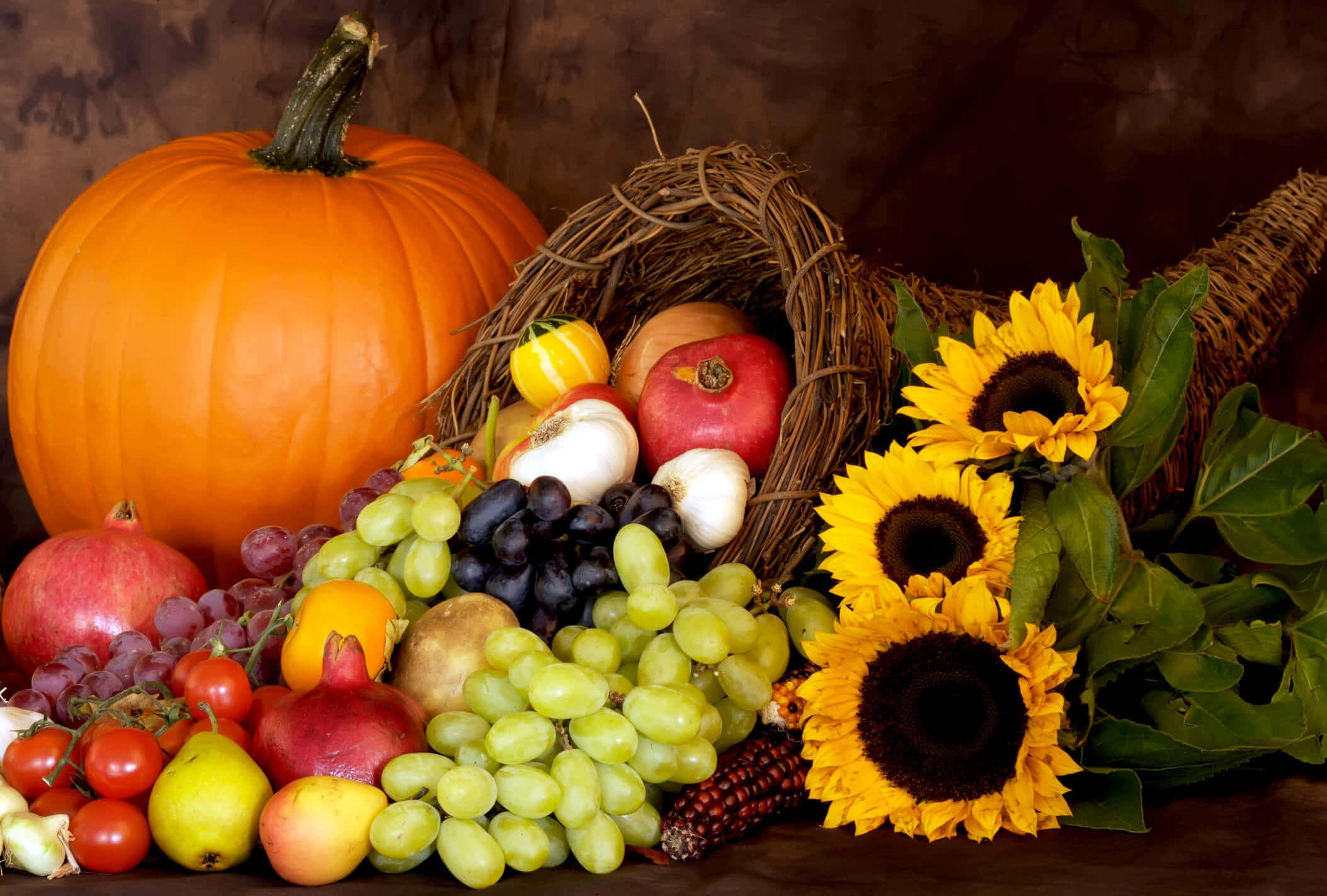 autumn bounty 2107 x 1423, rustic cornucopia, pumpkins, Full HD Desktop Wallpaper