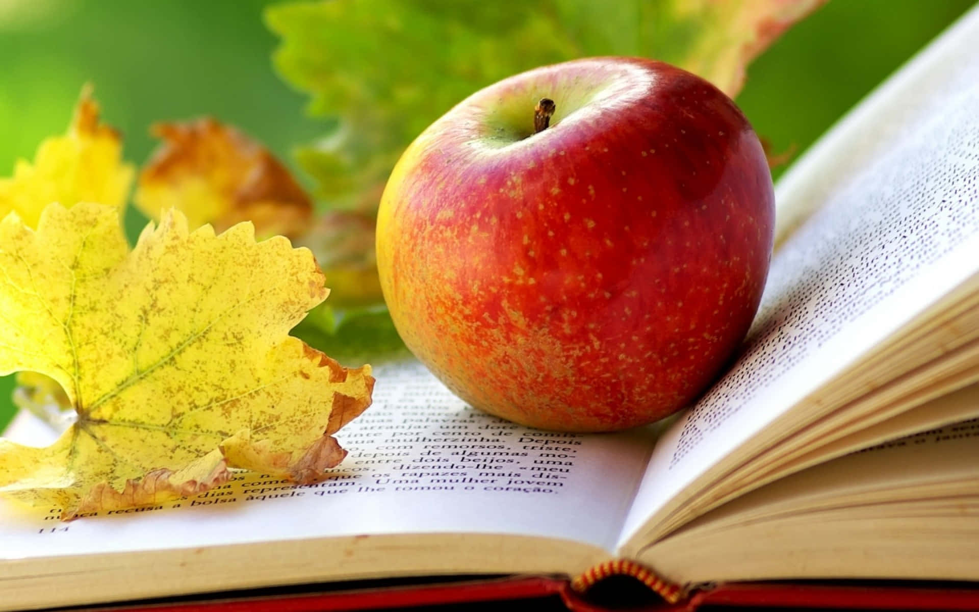 glossy red apple, open book, yellow autumn leaf, Full HD Desktop Wallpaper