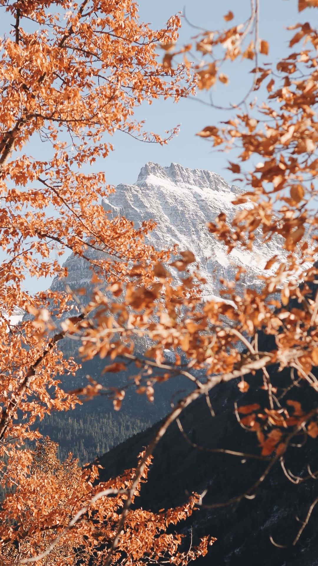 Autumn iPhone 6 Plus, snow-capped mountain peak, golden autumn leaves, Full HD Phone Wallpaper