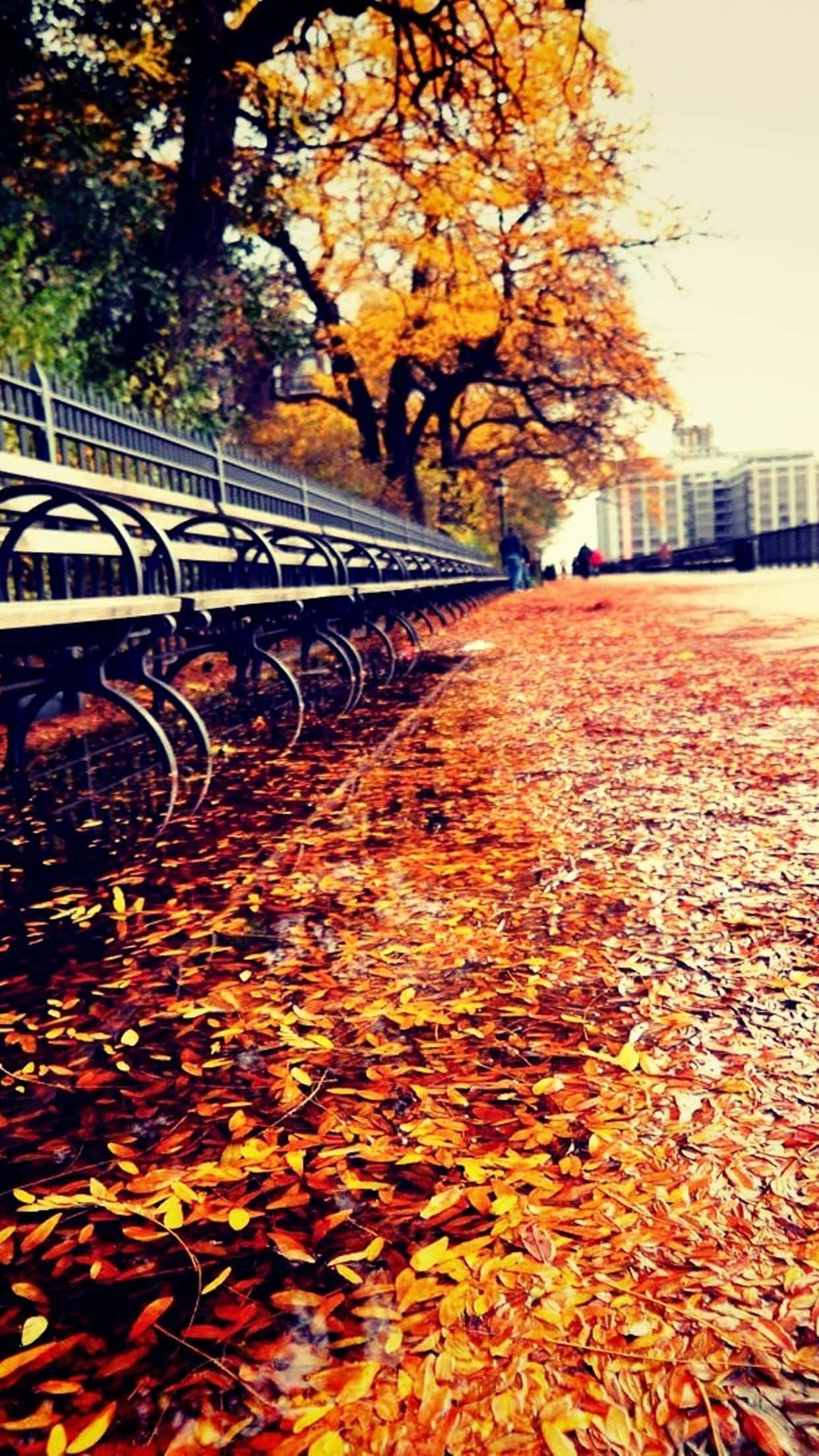 iPhone 6 Plus, autumn, golden autumn leaves, Full HD Phone Wallpaper