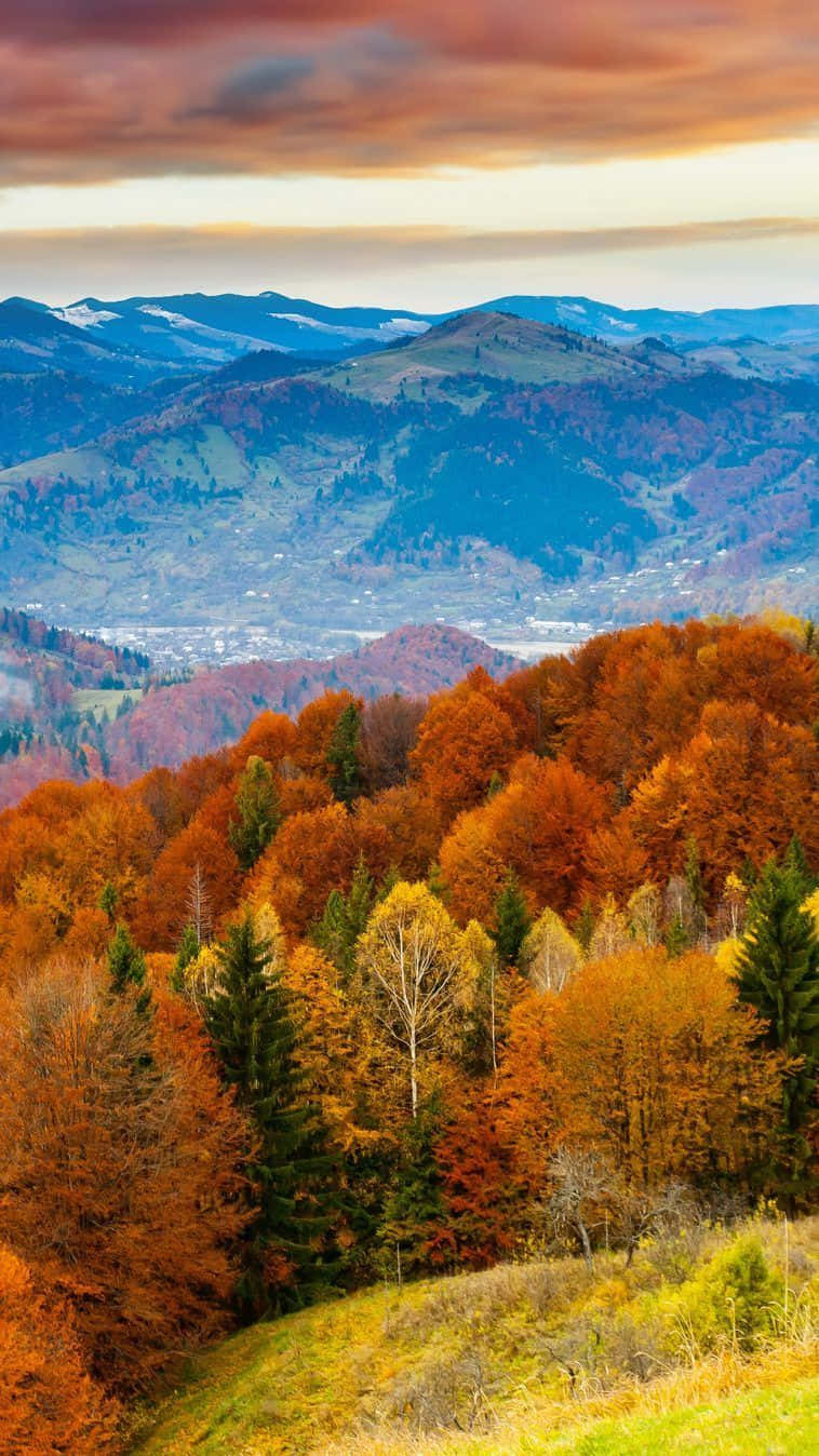 iPhone 6 Plus, autumn forest, rolling hills, HD Phone Wallpaper