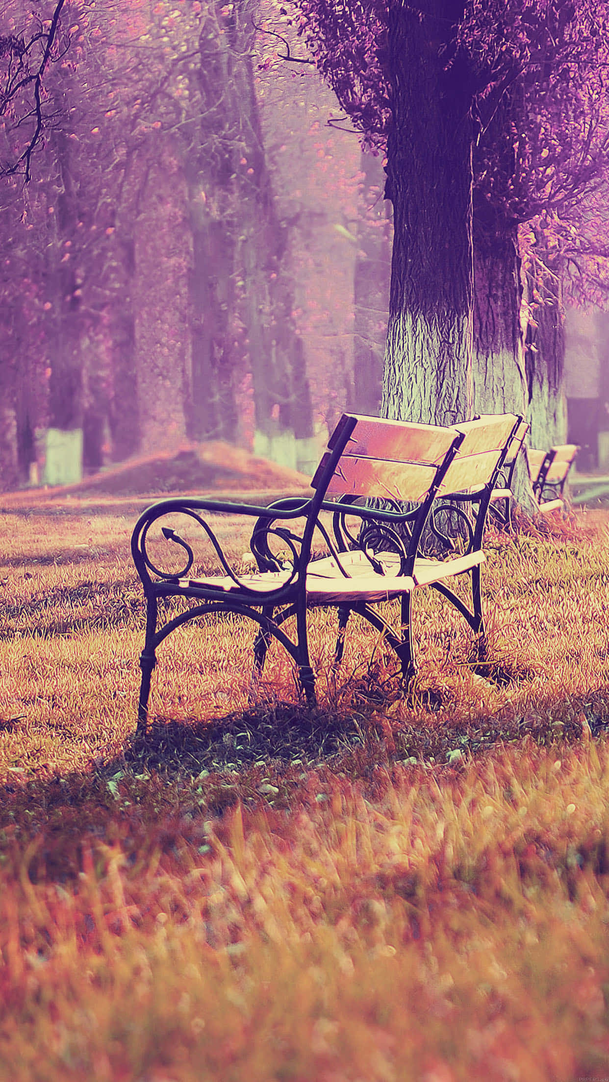 iPhone 6 Plus, vintage wrought iron bench, misty autumn park, Full HD Phone Wallpaper