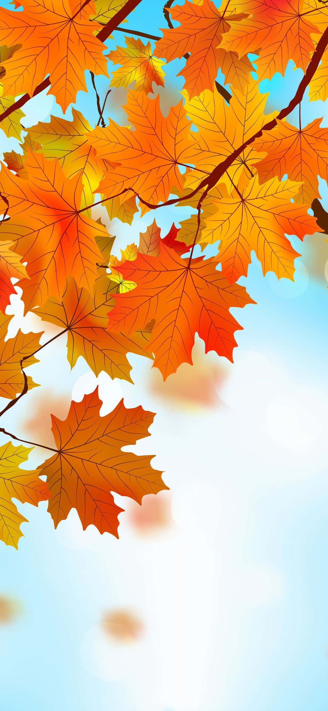 autumn leaves, maple leaves, blue sky, Full HD Phone Wallpaper