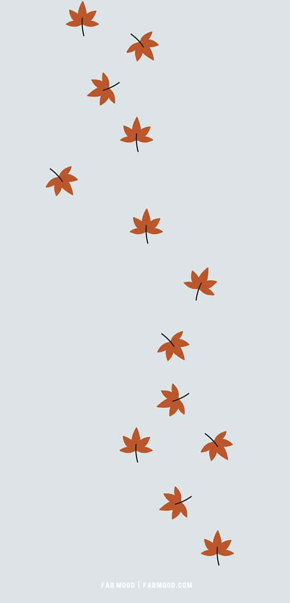 autumn leaves phone, orange maple leaves, soft gray background, SD Phone Wallpaper