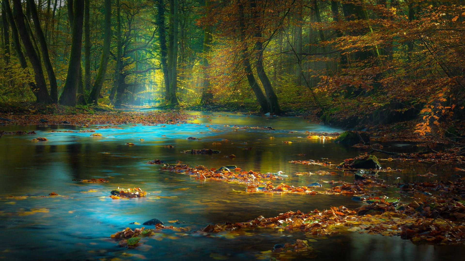 River In Autumn MacBook, autumn trees, golden rays, Full HD Desktop Wallpaper