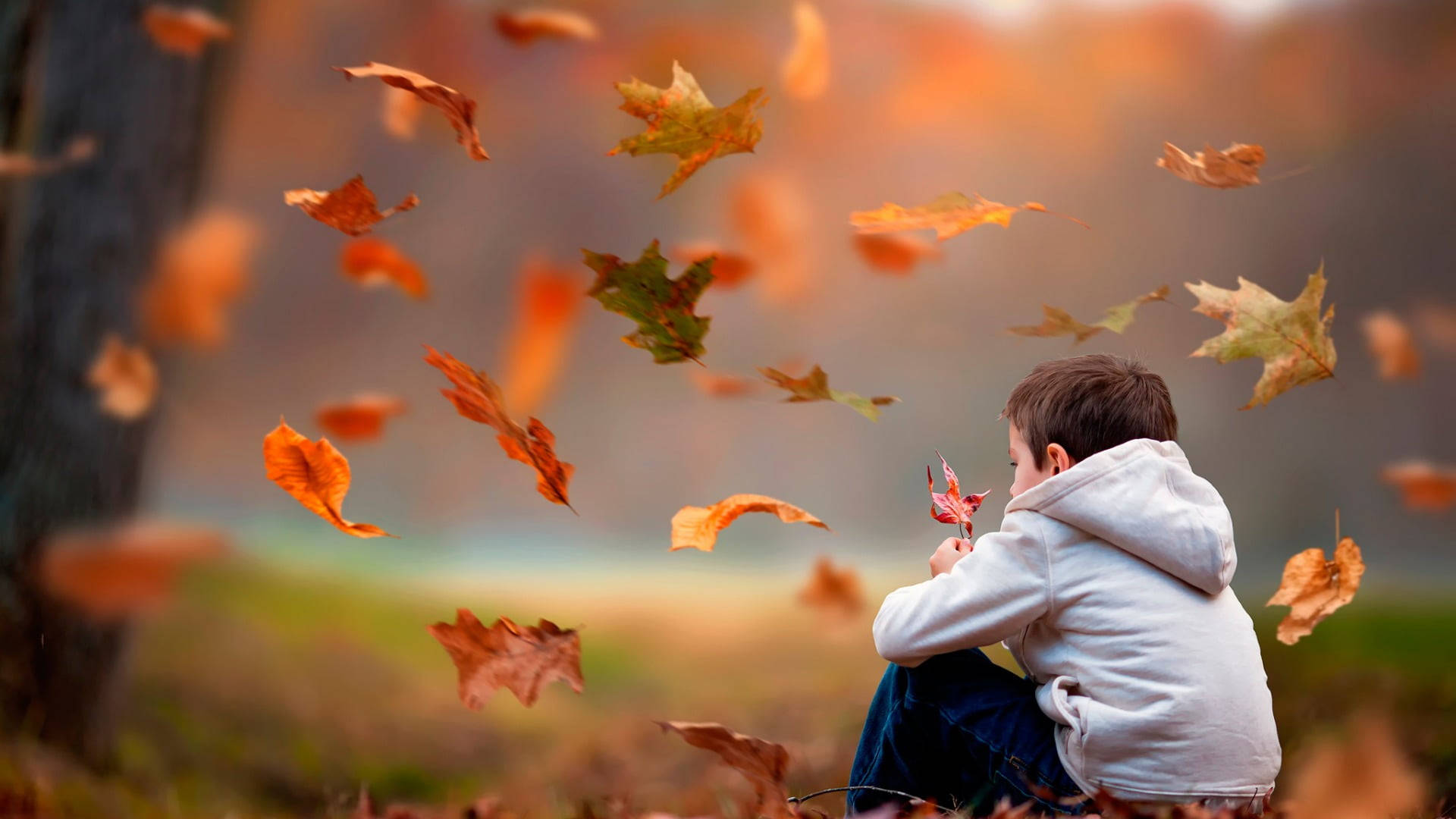 Autumn Macbook, little boy, forest, Full HD Desktop Wallpaper