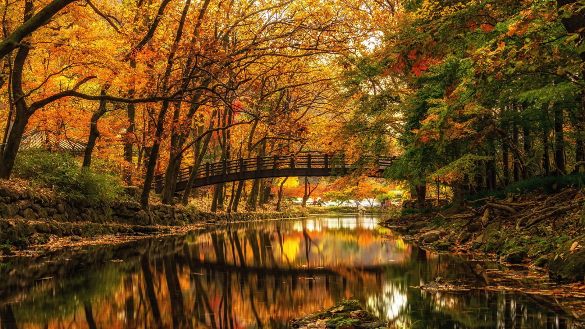 wooden bridge, calm river, golden autumn trees, Full HD Desktop Wallpaper