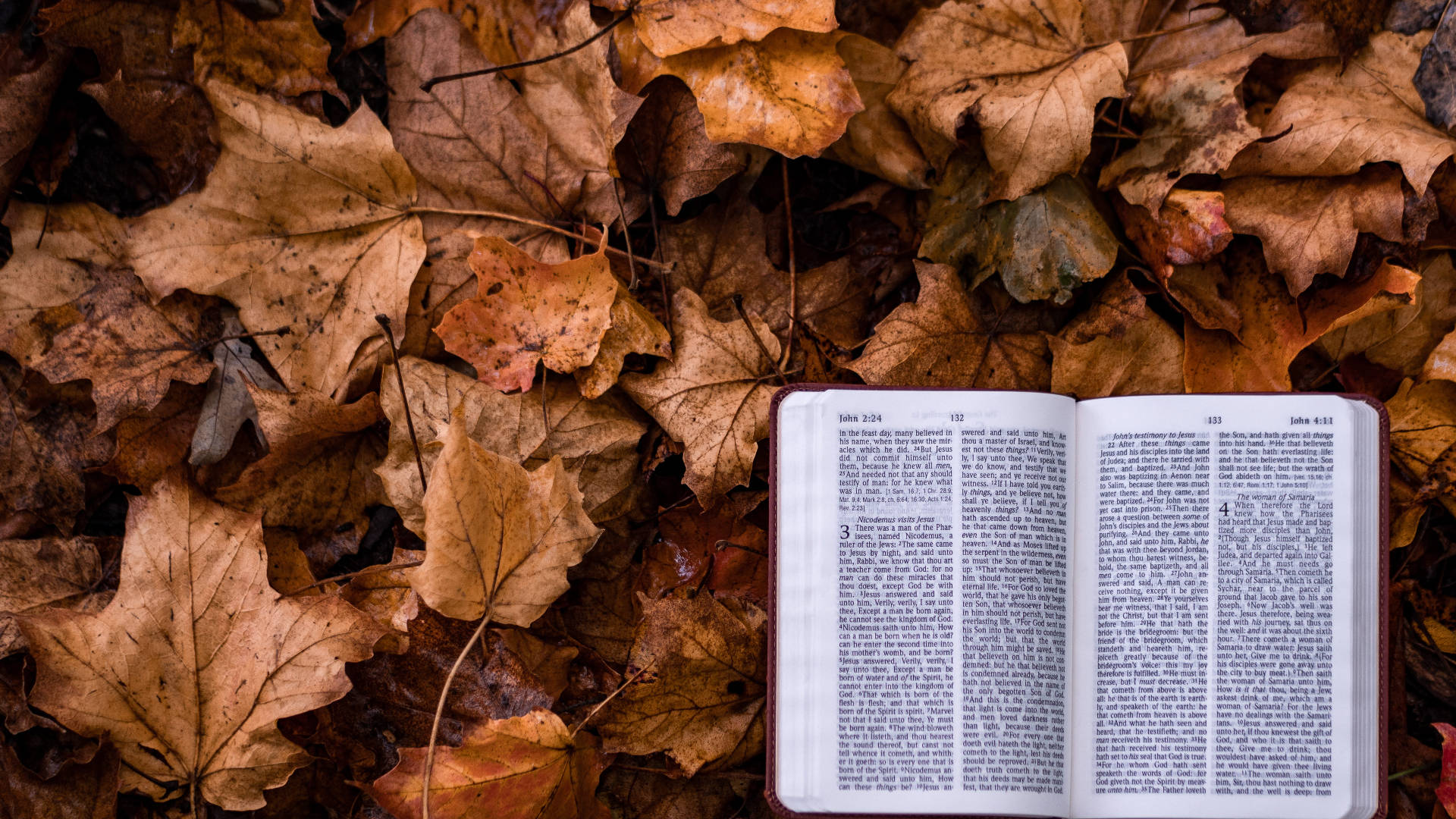 Autumn Macbook, Bible, autumn leaves, Full HD Desktop Wallpaper