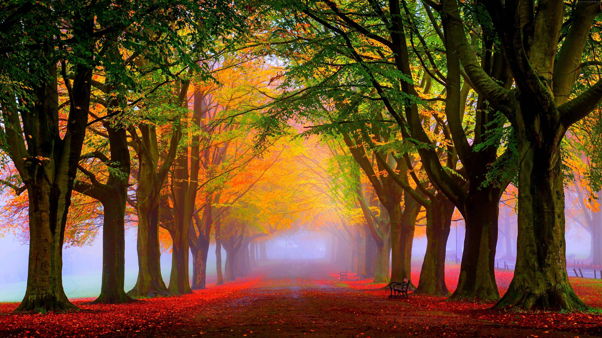 Park Bench, autumn, misty, Full HD Desktop Wallpaper