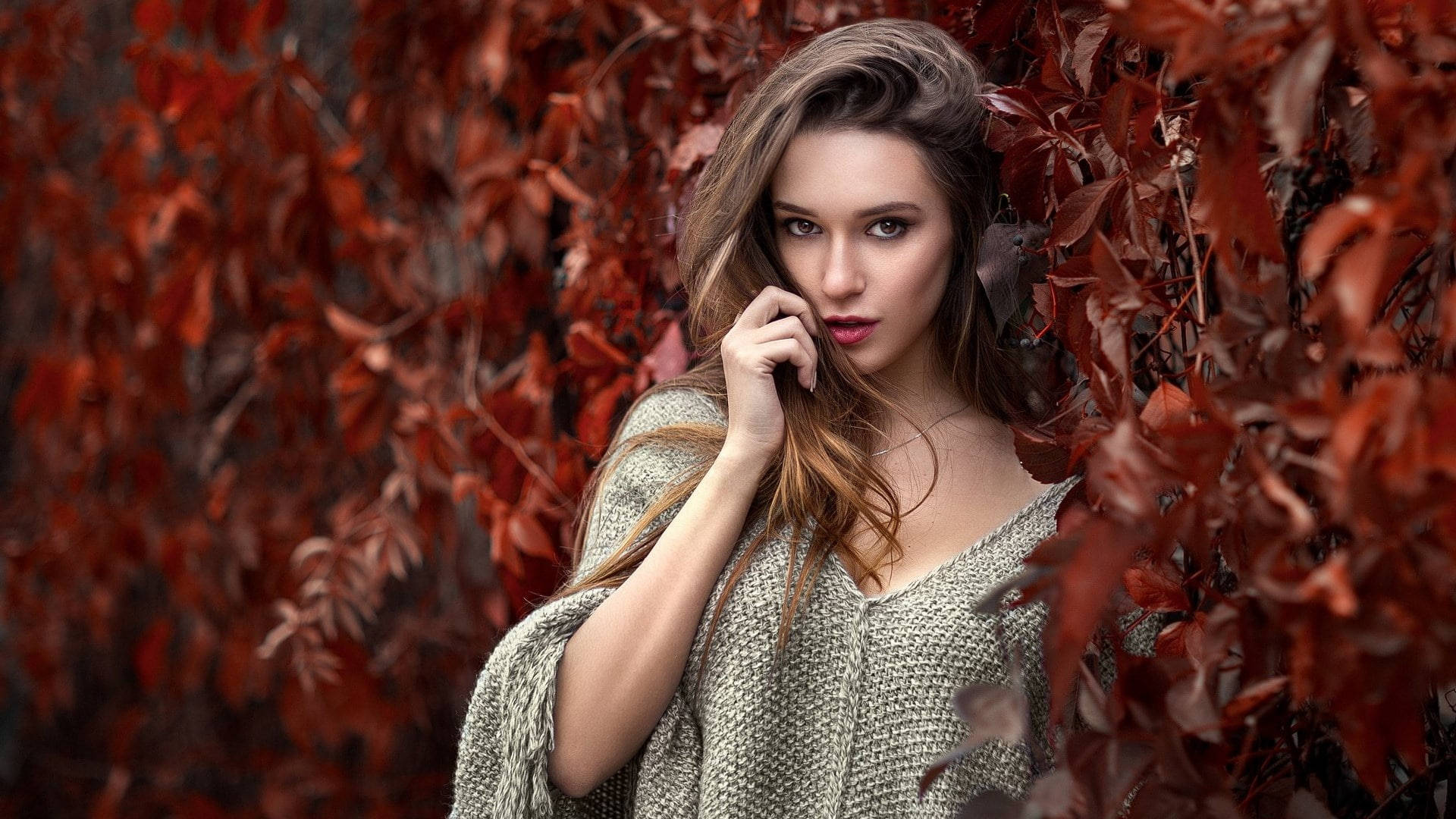 Autumn MacBook, textured knit sweater, vibrant red leafy bush, Full HD Desktop Wallpaper