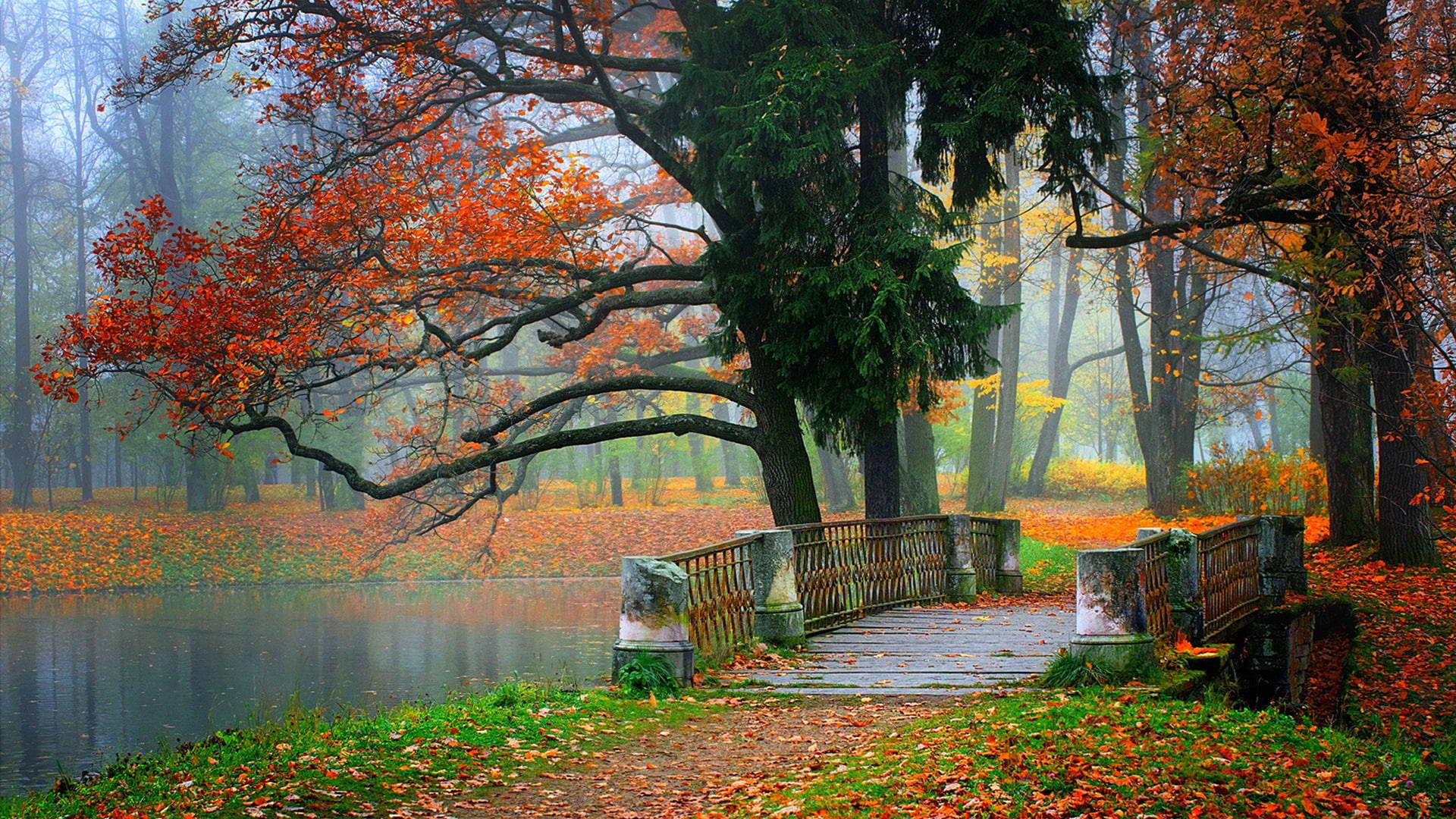 Autumn Macbook, wooden bridge, calm pond, Full HD Desktop Wallpaper